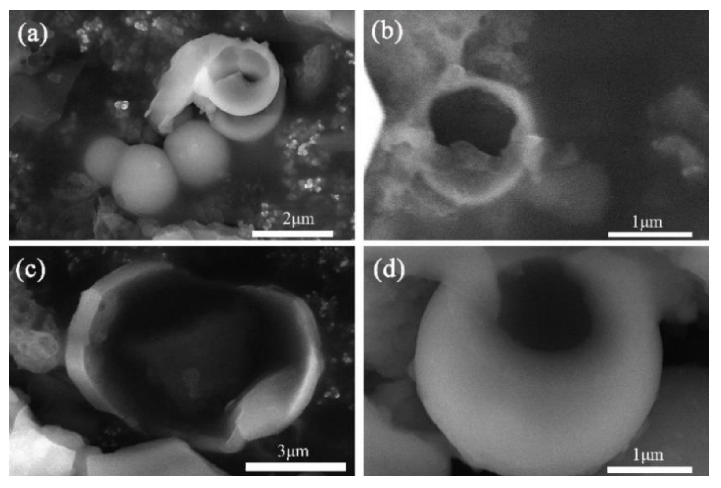 Materials 14 04012 g005