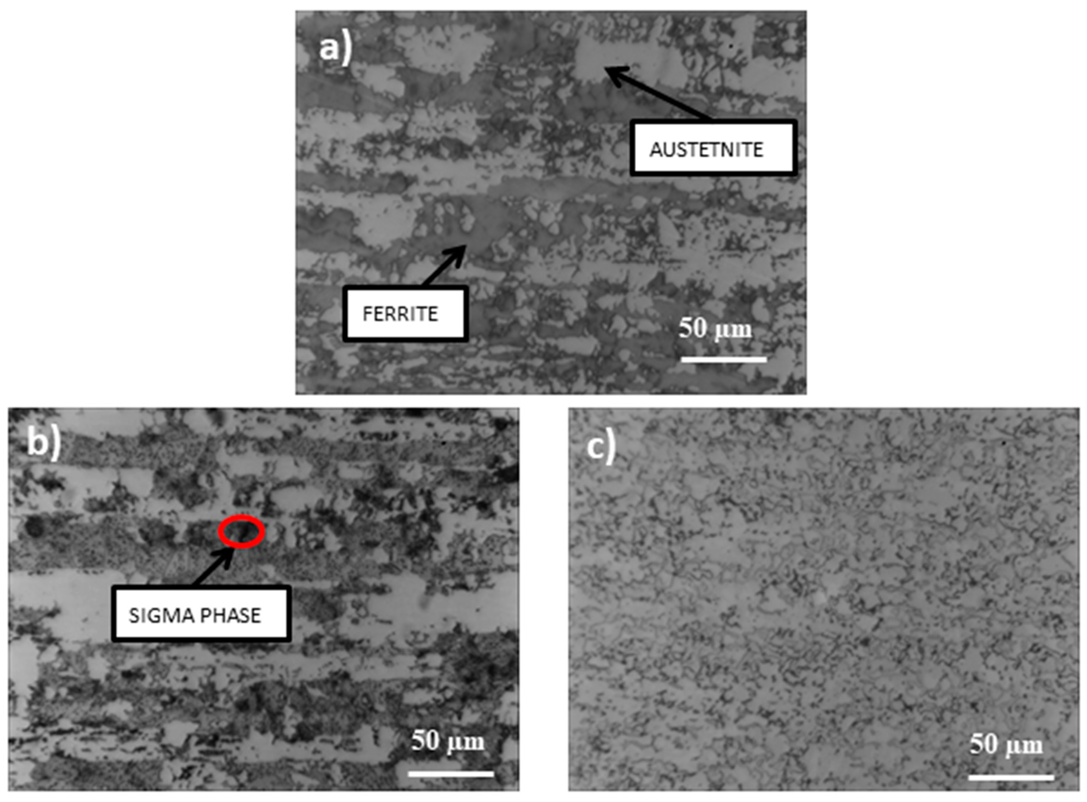 Materials 14 04014 g002
