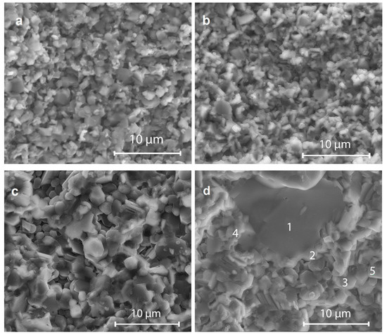 その他 mero Dio zx 改造多数