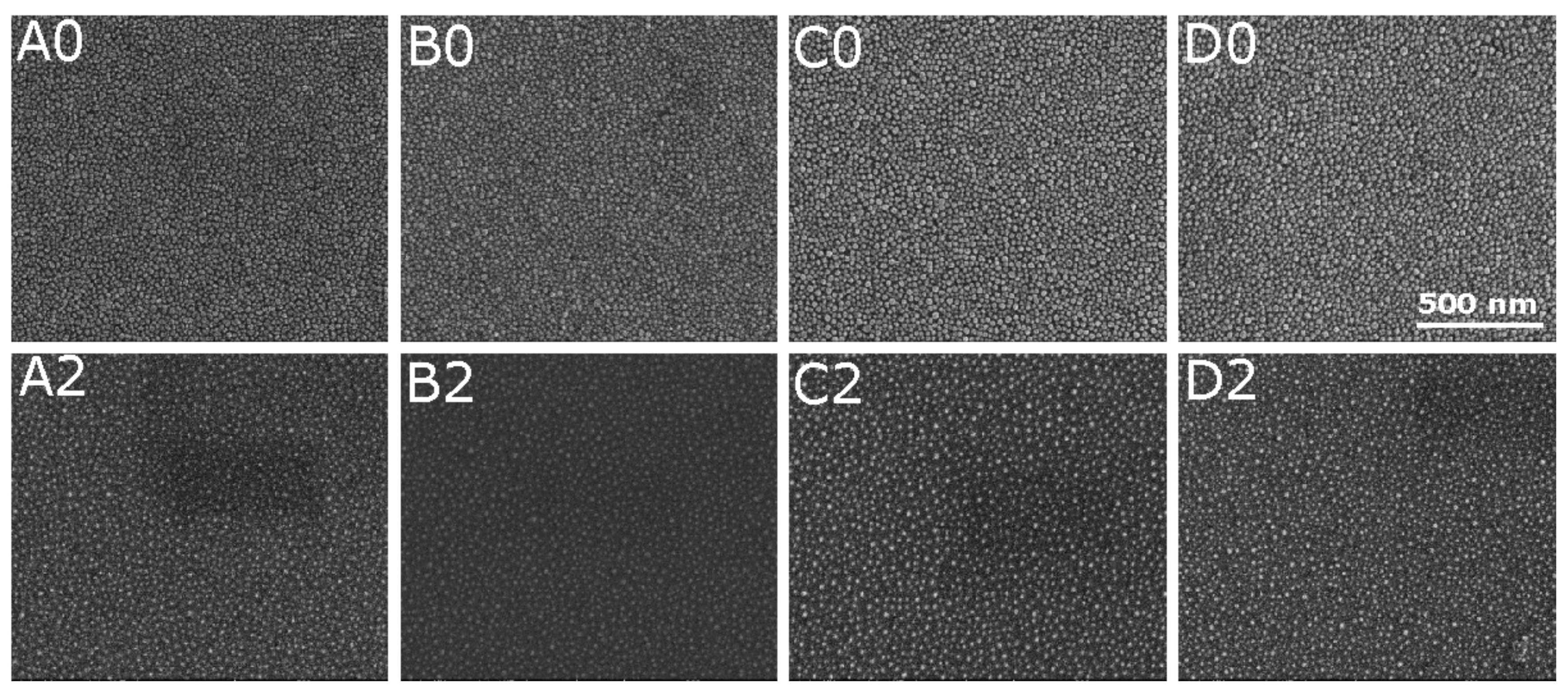 Materials 14 04034 g002