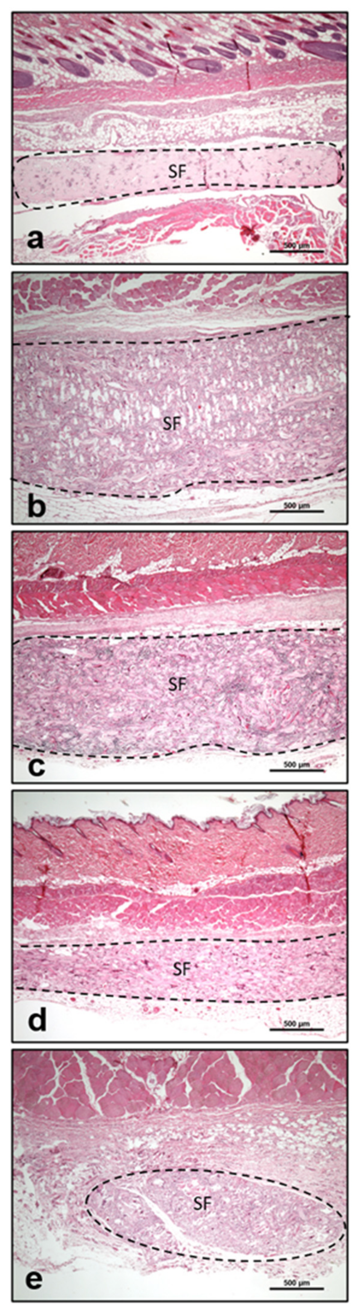 Materials 14 04038 g005
