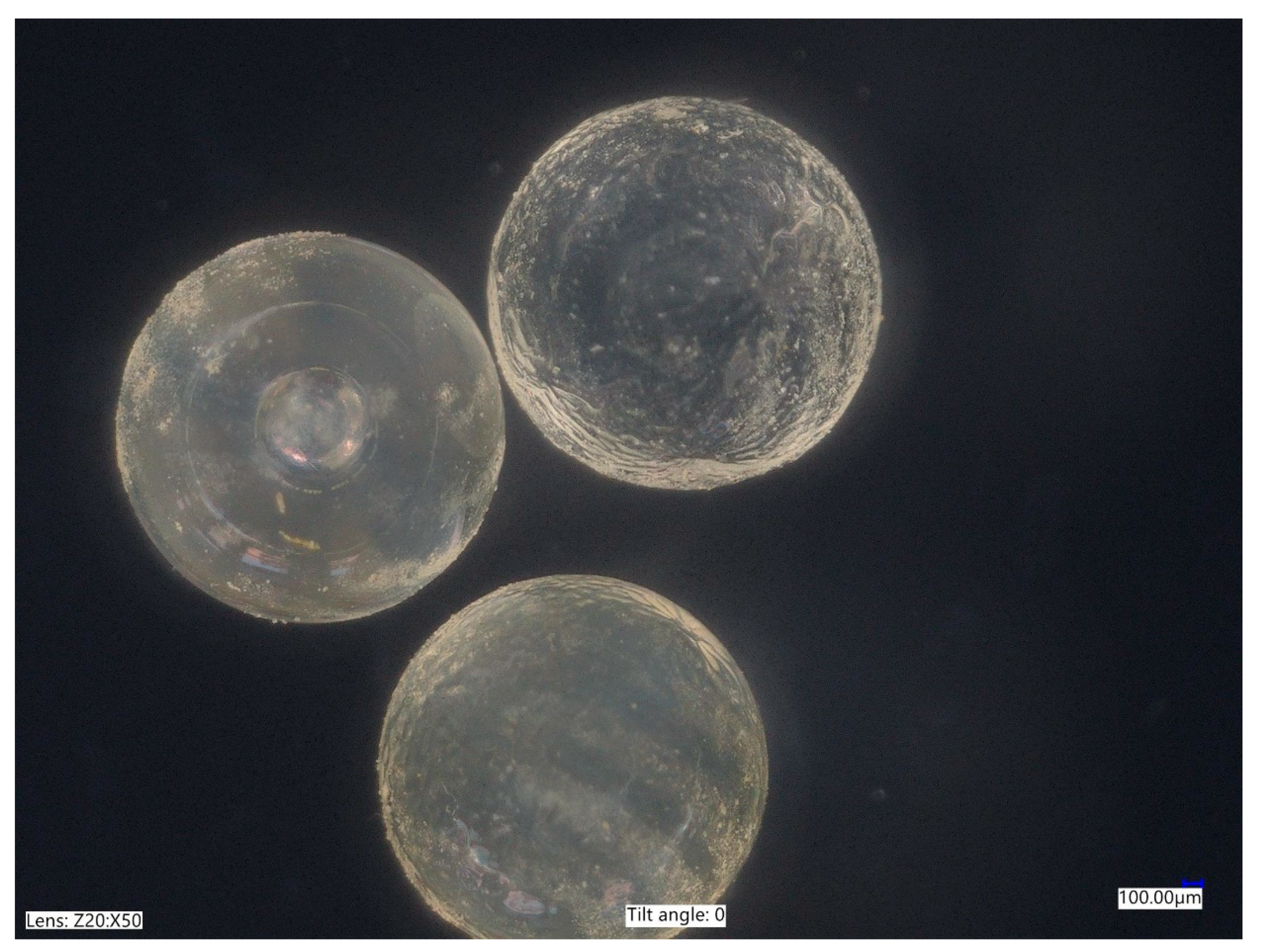 Materials 14 04064 g003 550