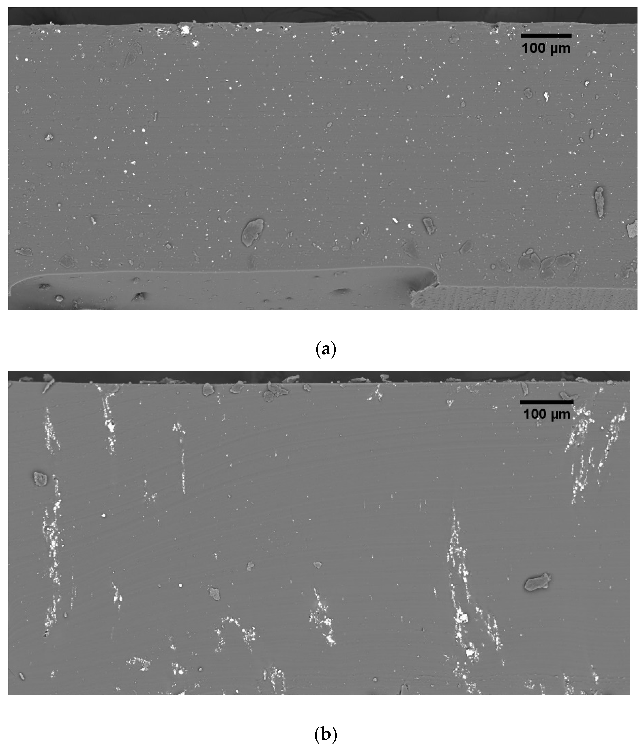 Materials 14 04071 g004 Materials 14 04071 g004