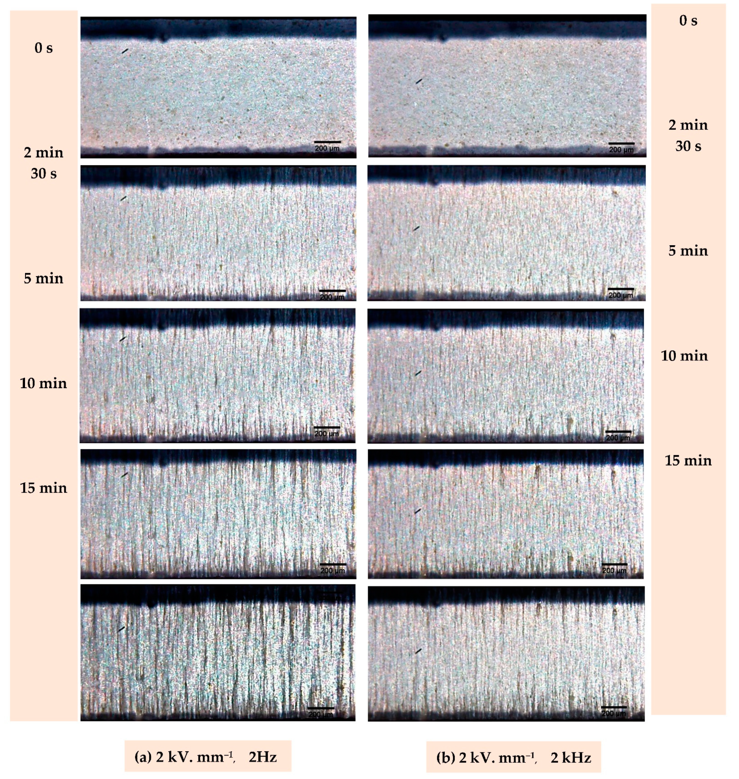 Materials 14 04071 g007 Materials 14 04071 g007