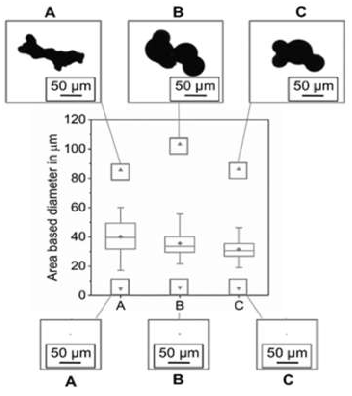Materials 14 04074 g004 550