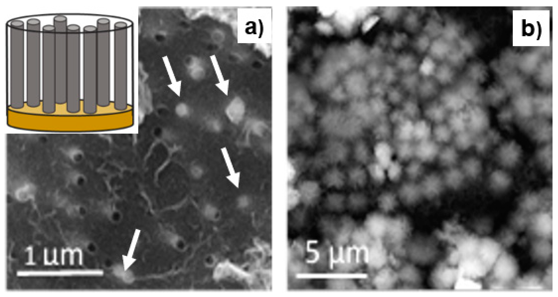 Materials 14 04080 g005 550