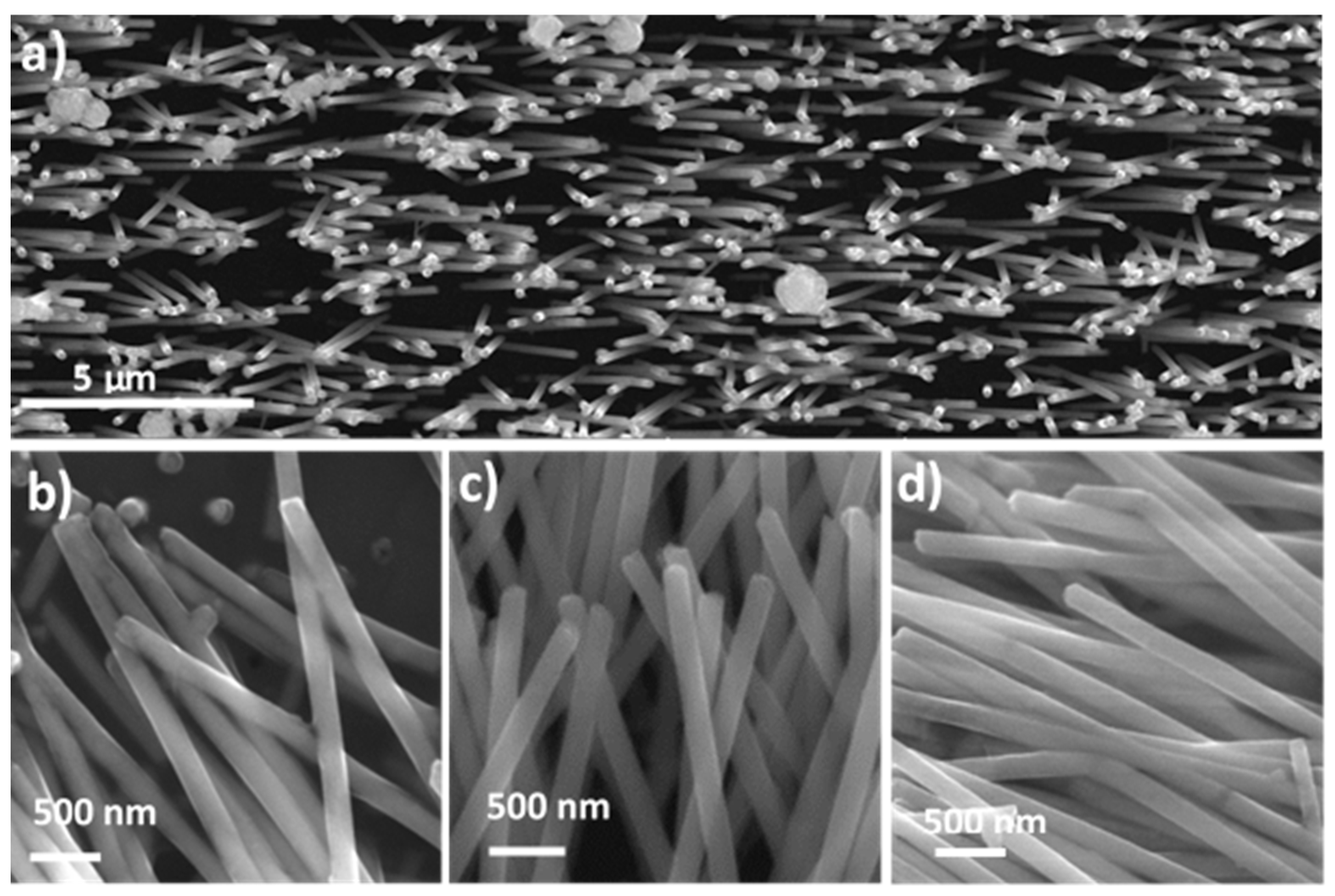 Materials 14 04080 g006 550