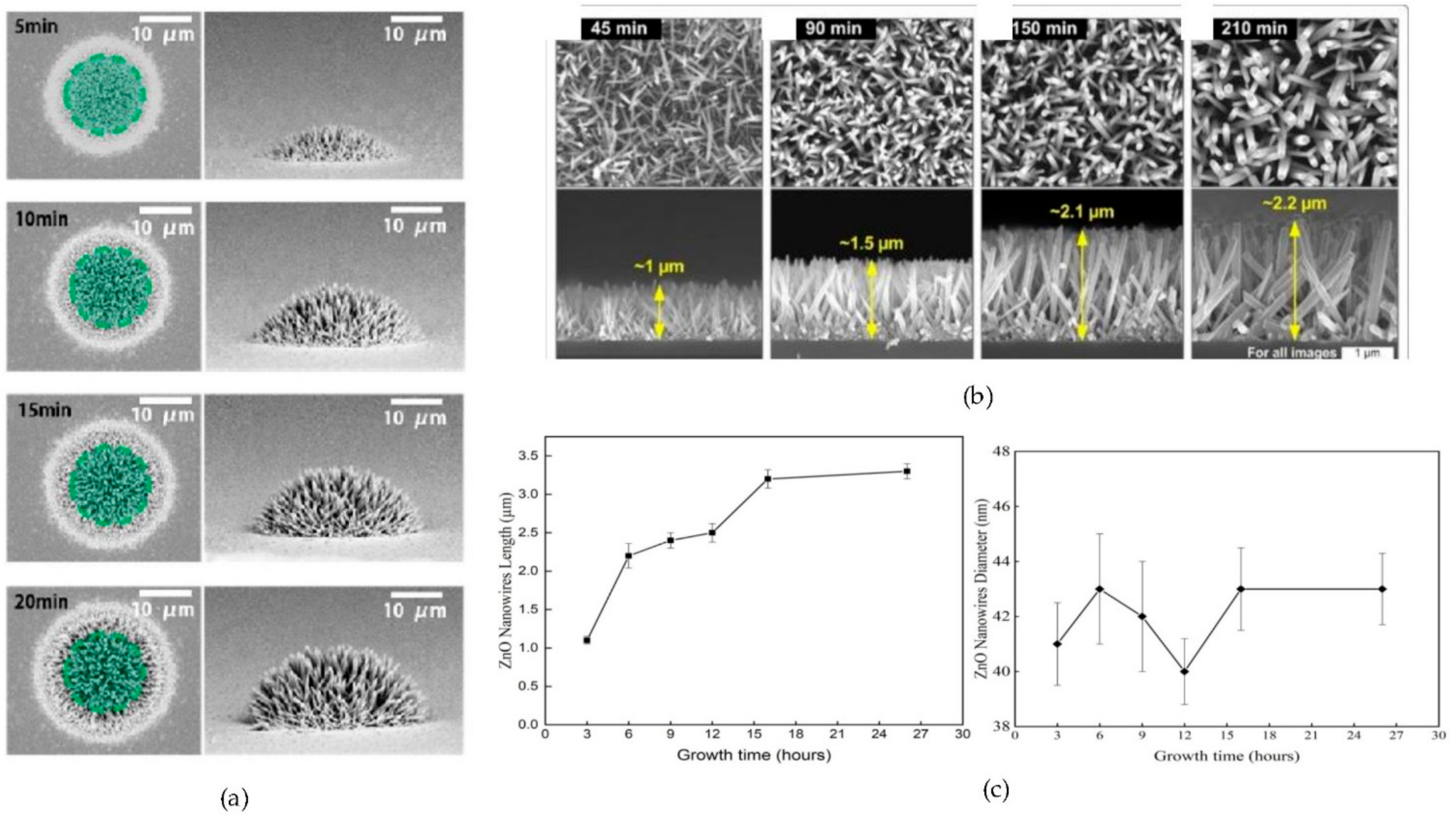 Materials 14 04083 g009 Materials 14 04083 g009