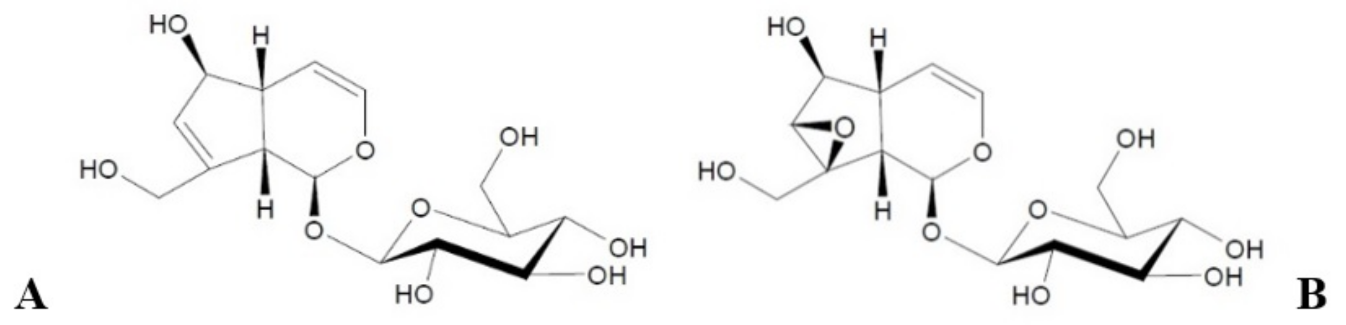 Materials 14 04090 g001 550