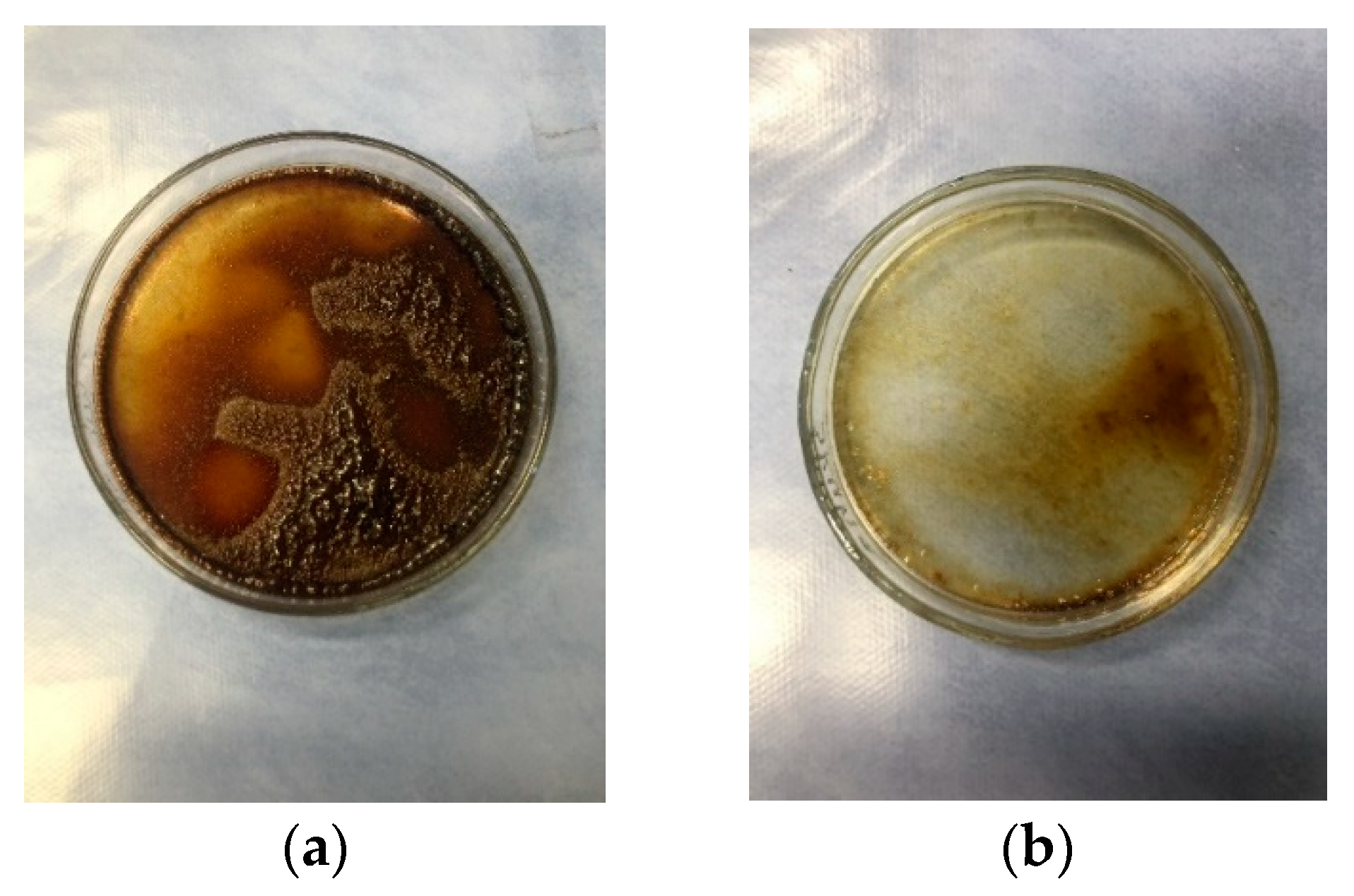 Materials 14 04091 g002 550