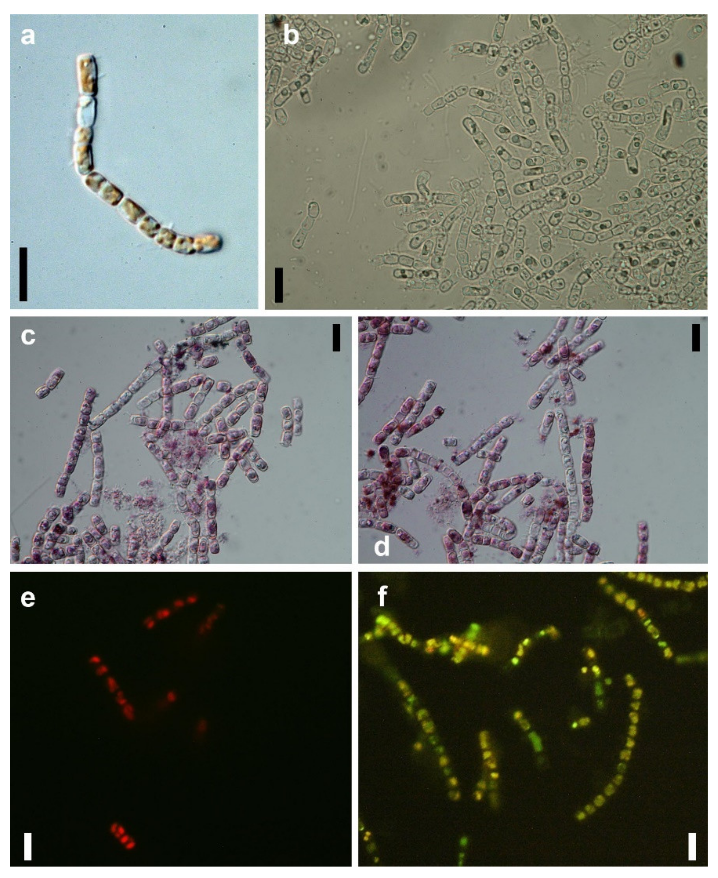 Materials 14 04094 g001