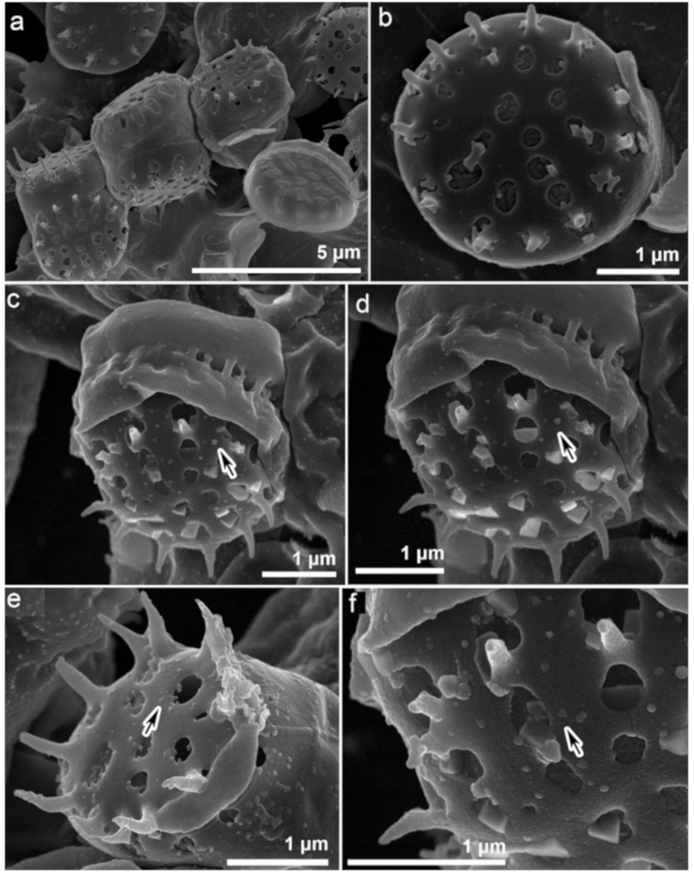 Materials 14 04094 g002