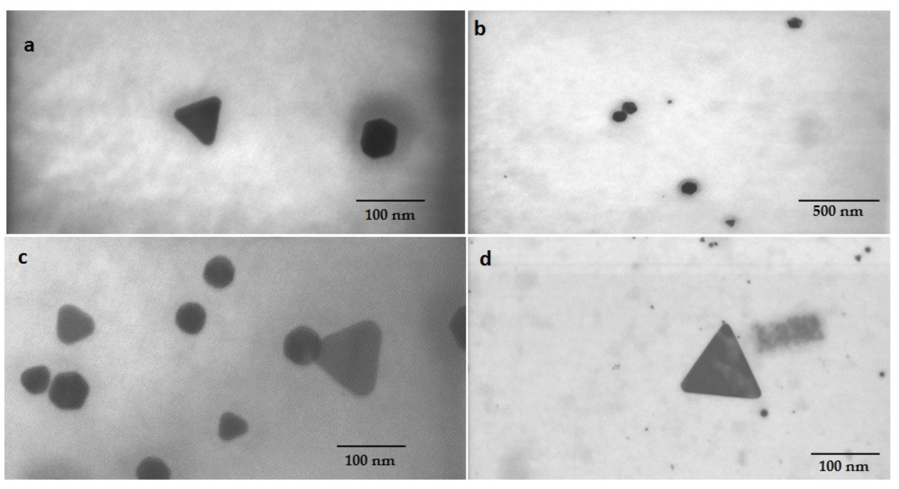 Materials 14 04094 g005