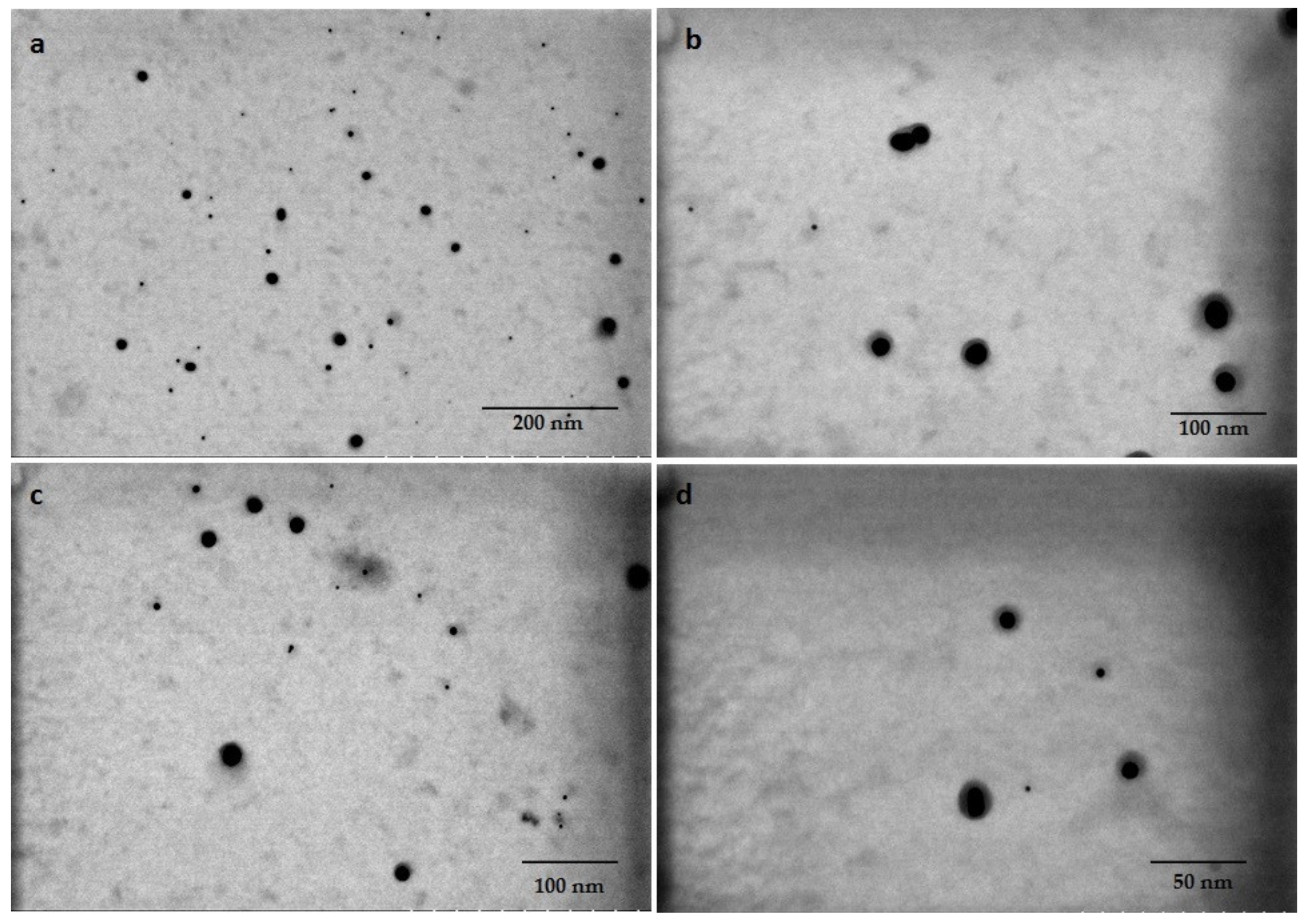 Materials 14 04094 g006