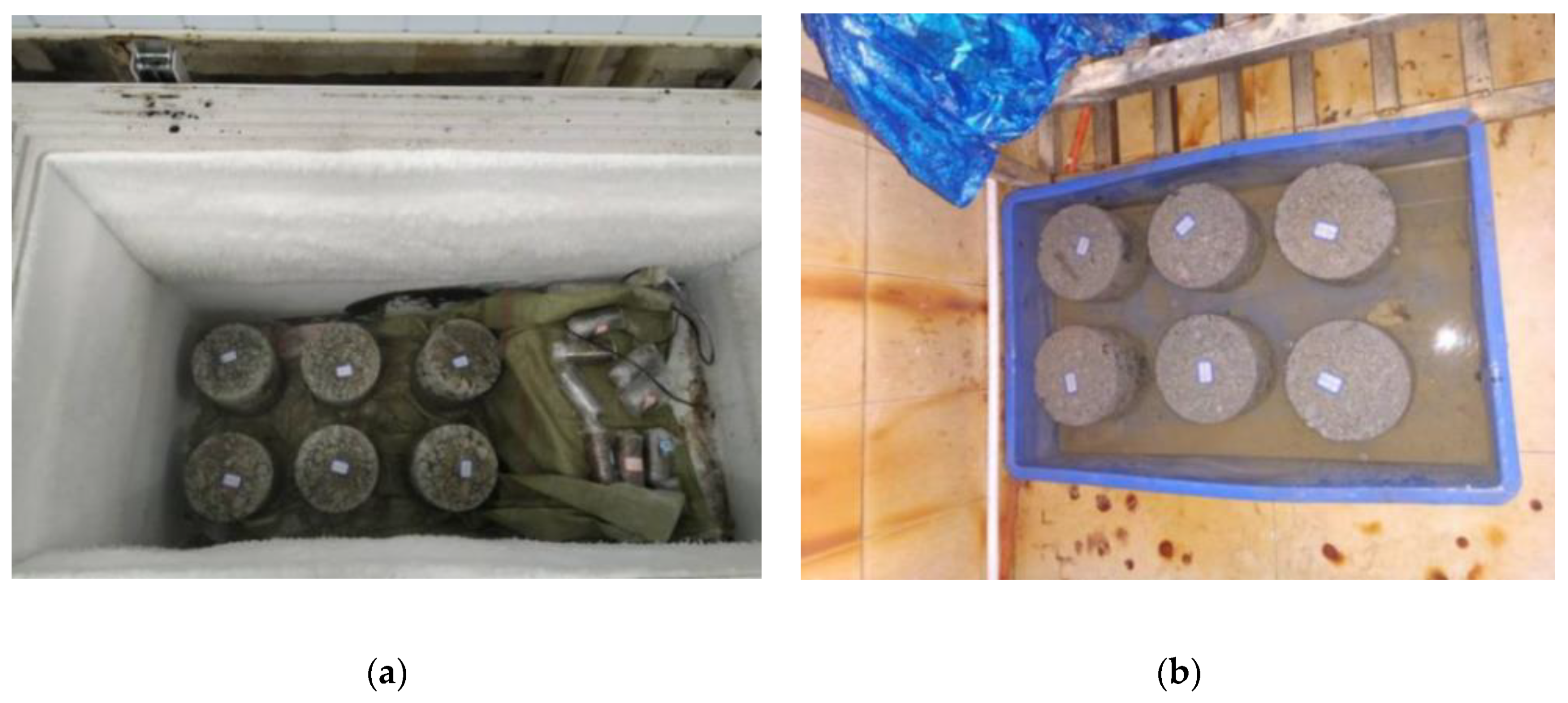 Materials 14 04101 g006