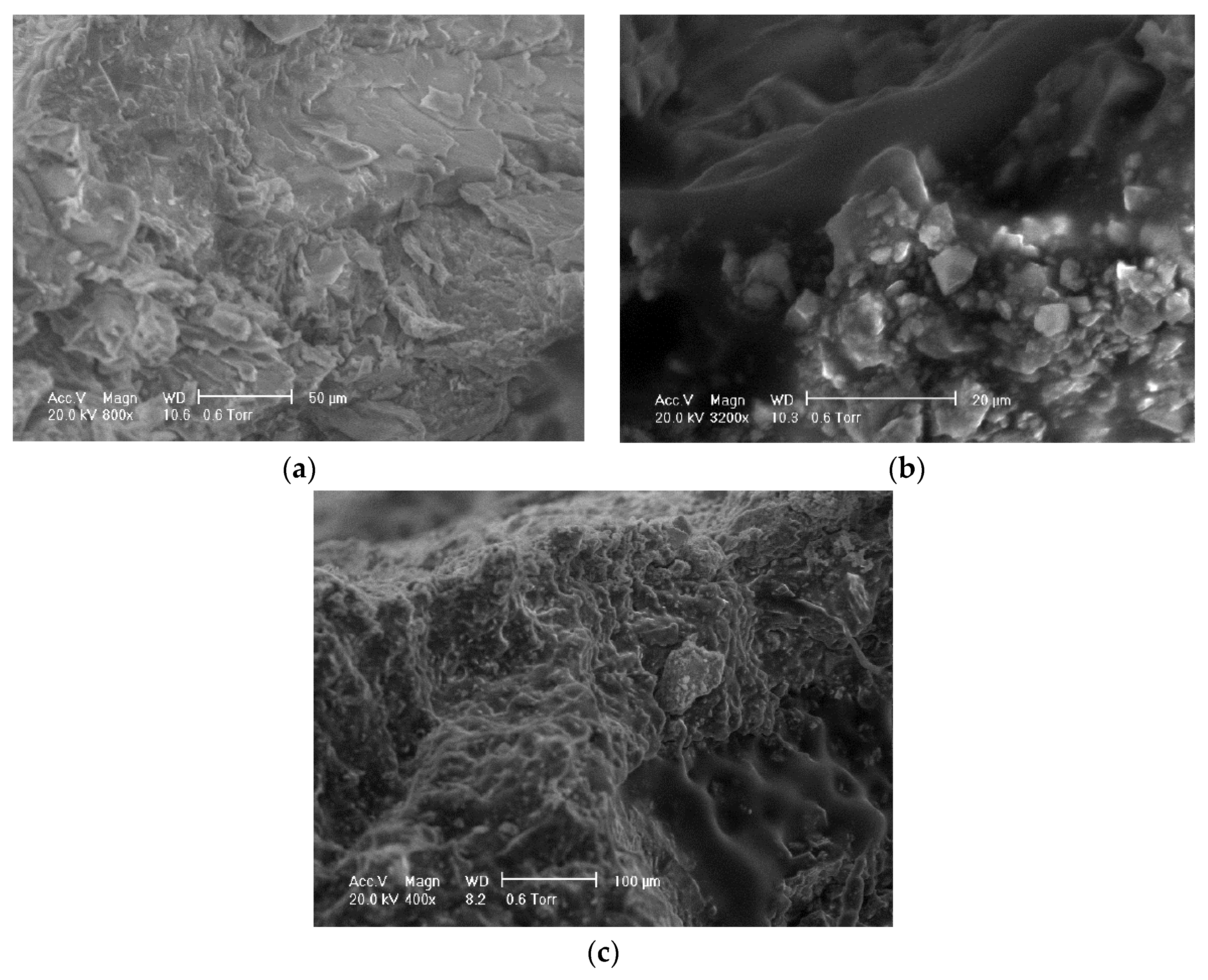 Materials 14 04101 g022