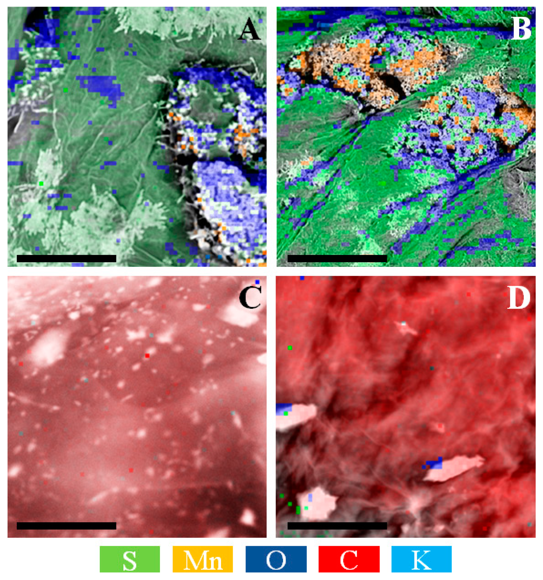 Materials 14 04108 g006 550