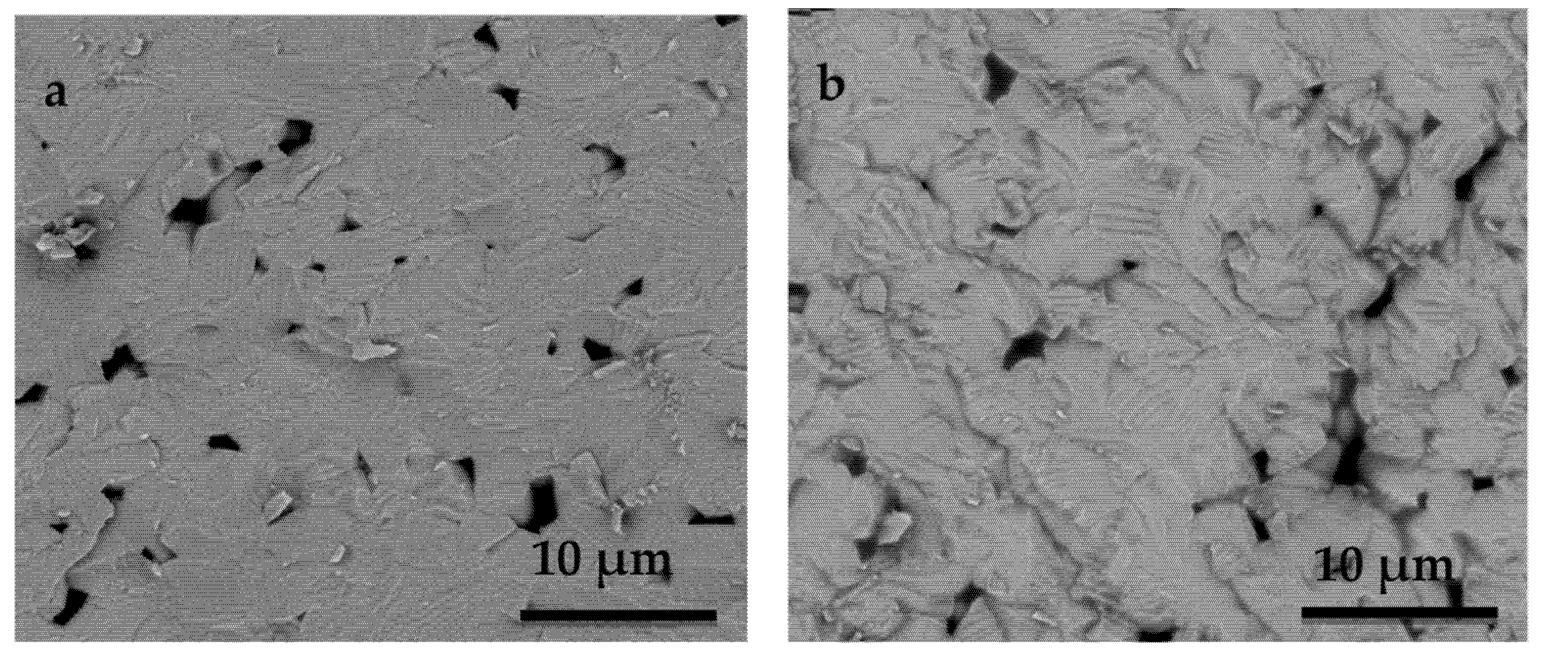 Materials 14 04113 g006 550