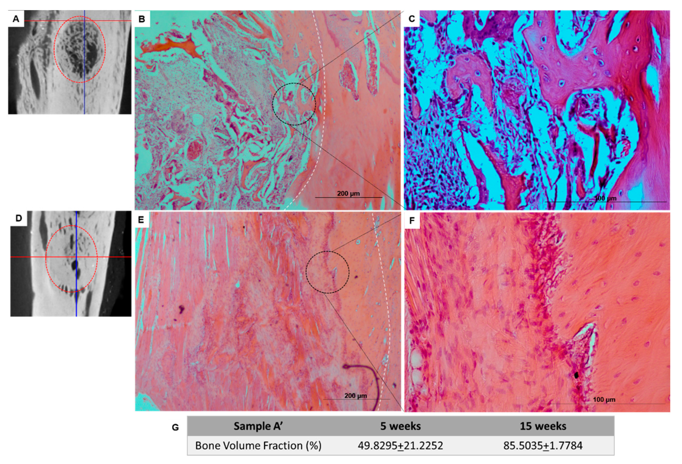 Materials 14 04130 g010