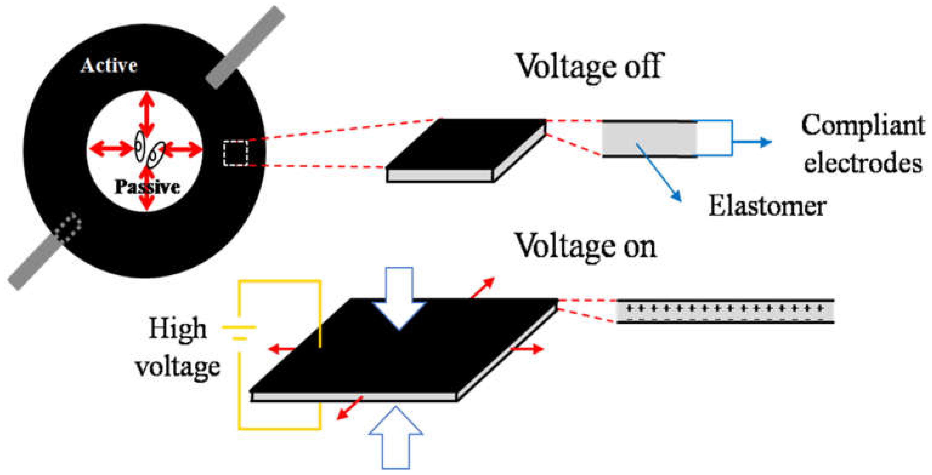 Materials 14 04131 g001