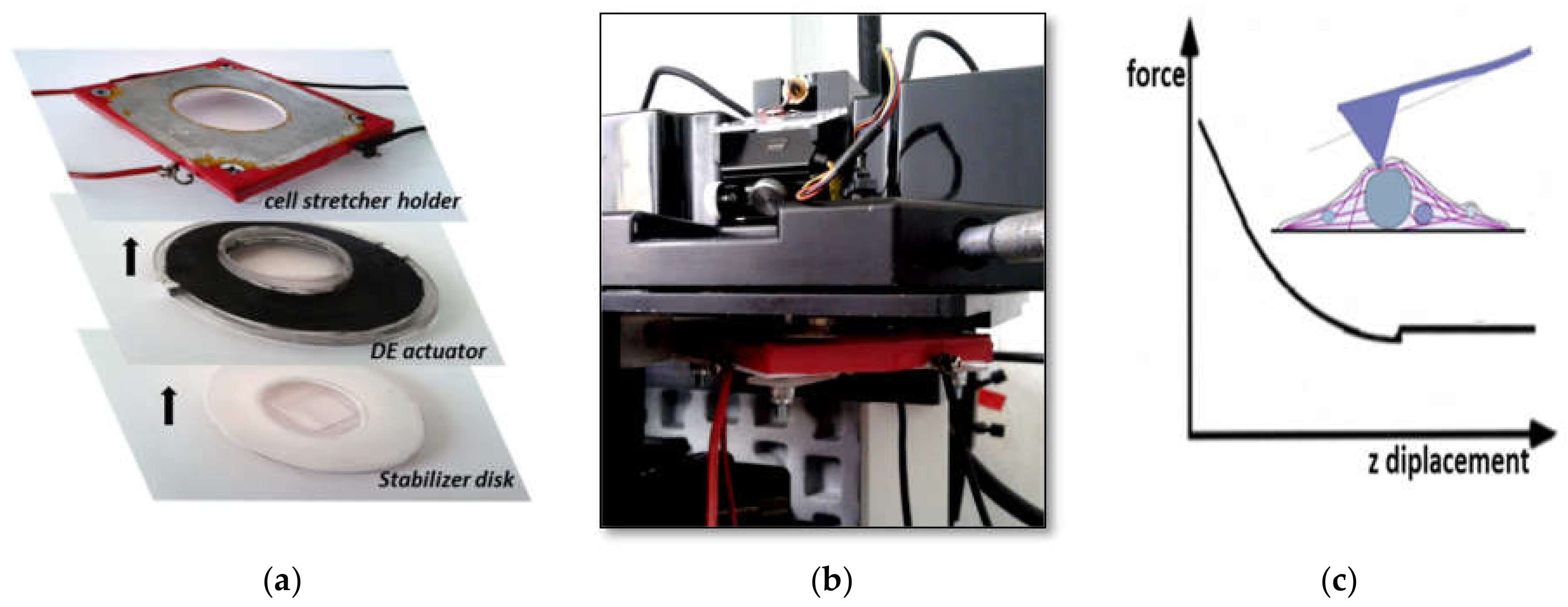 Materials 14 04131 g003