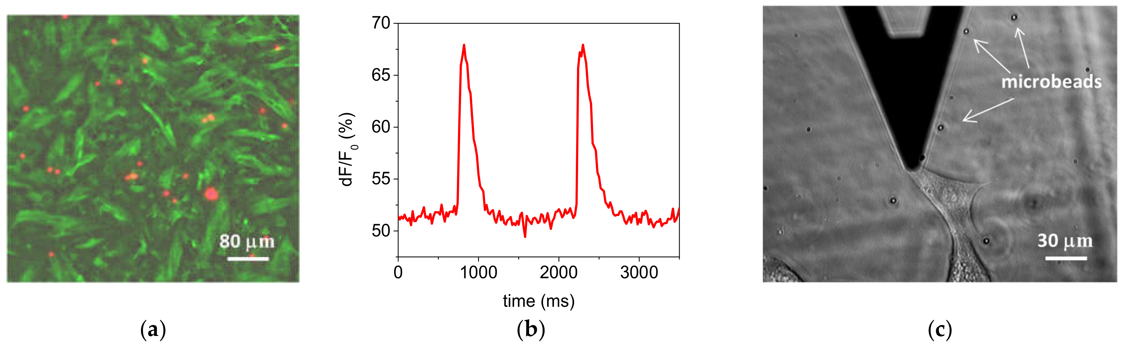 Materials 14 04131 g009
