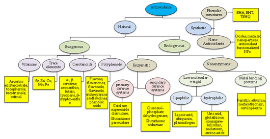 Vitamin K & Exercise