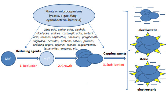 Antioxidants: Classification, Natural Sources, Activity/Capacity