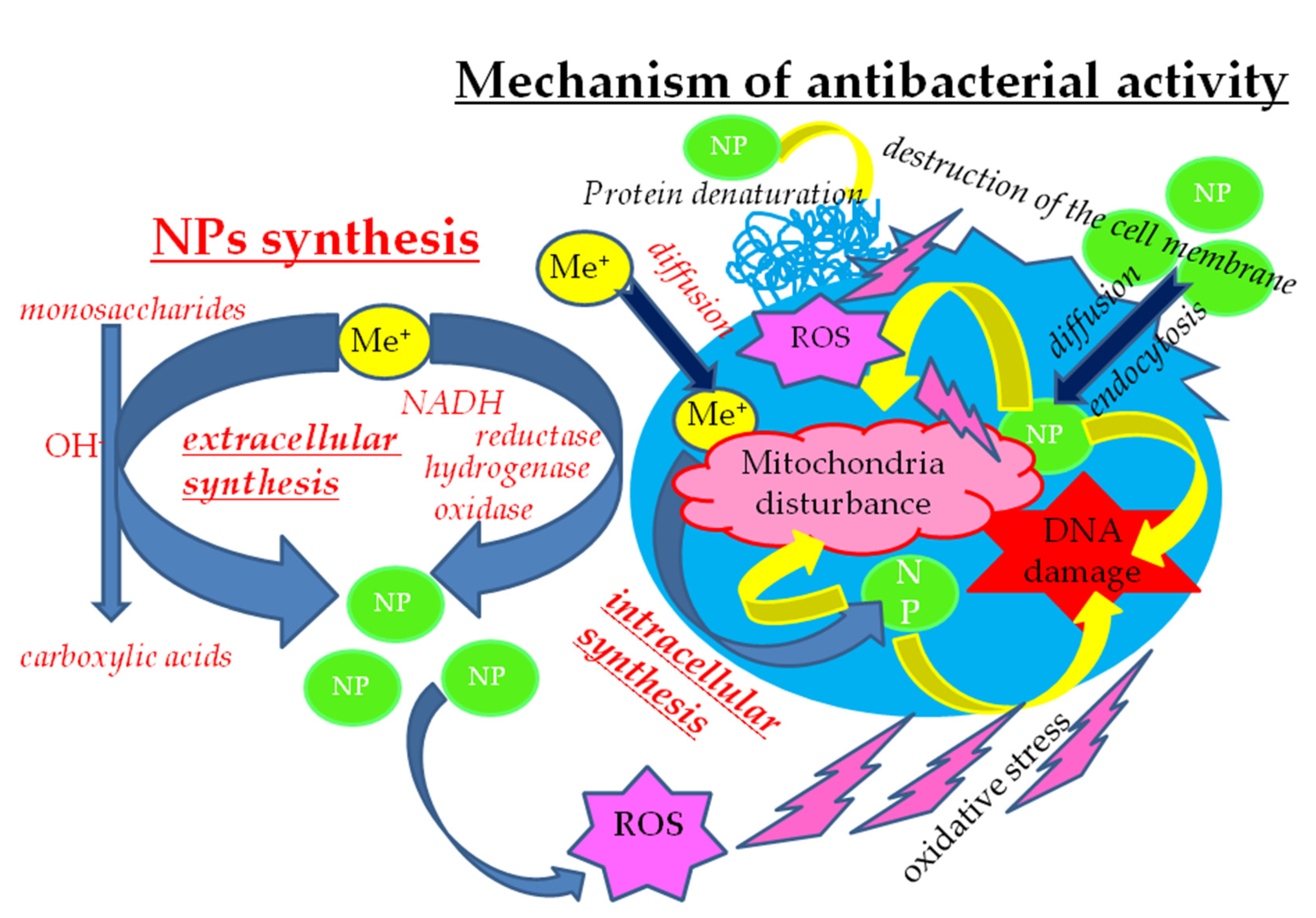 Materials 14 04135 g008 Materials 14 04135 g008