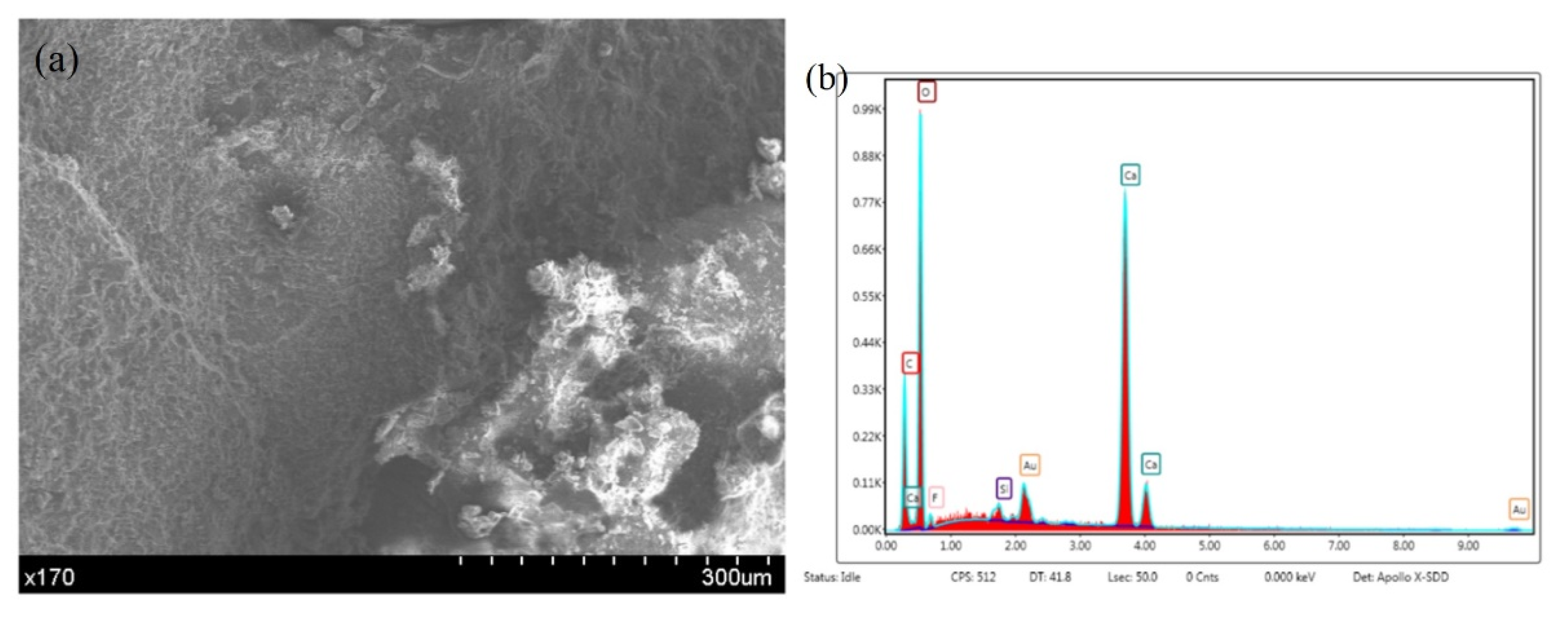 Materials 14 04139 g010
