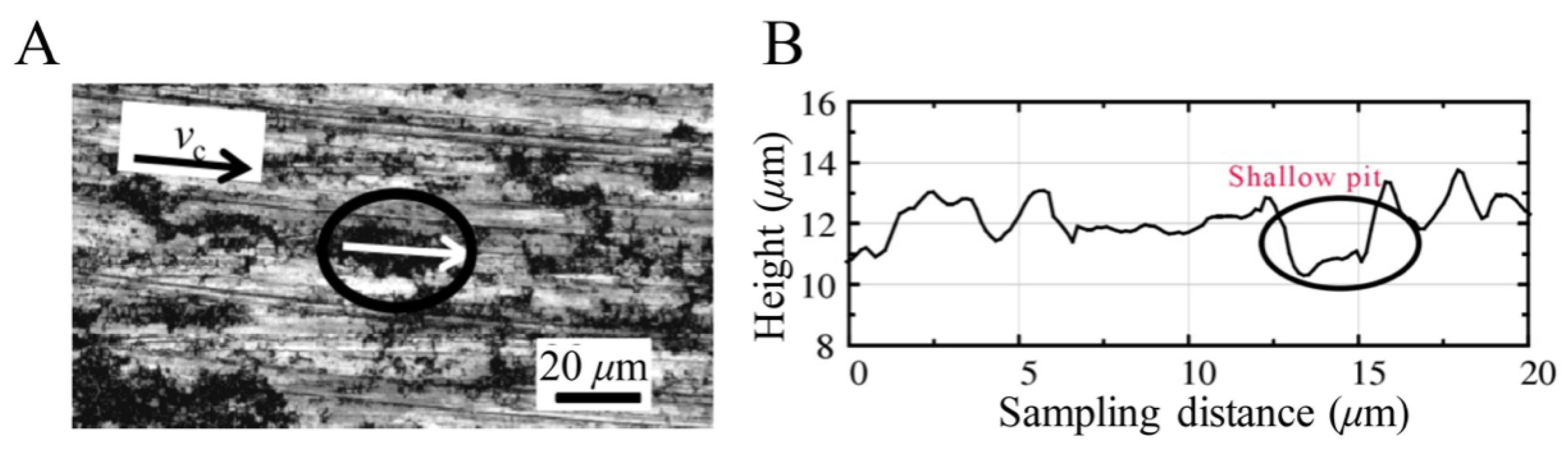 Materials 14 04143 g021 550