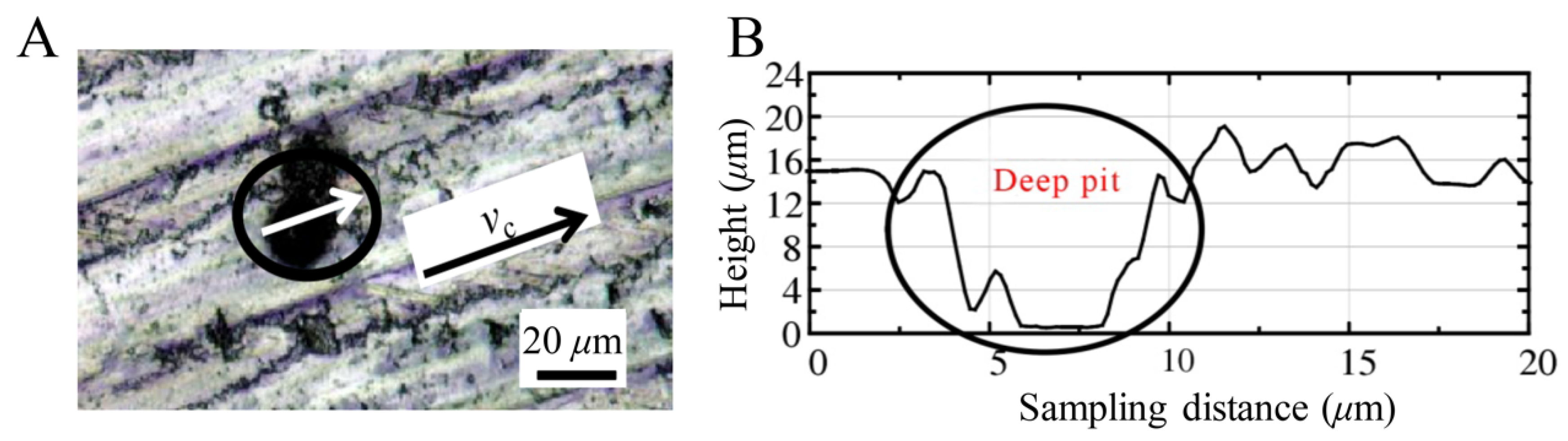 Materials 14 04143 g024 550