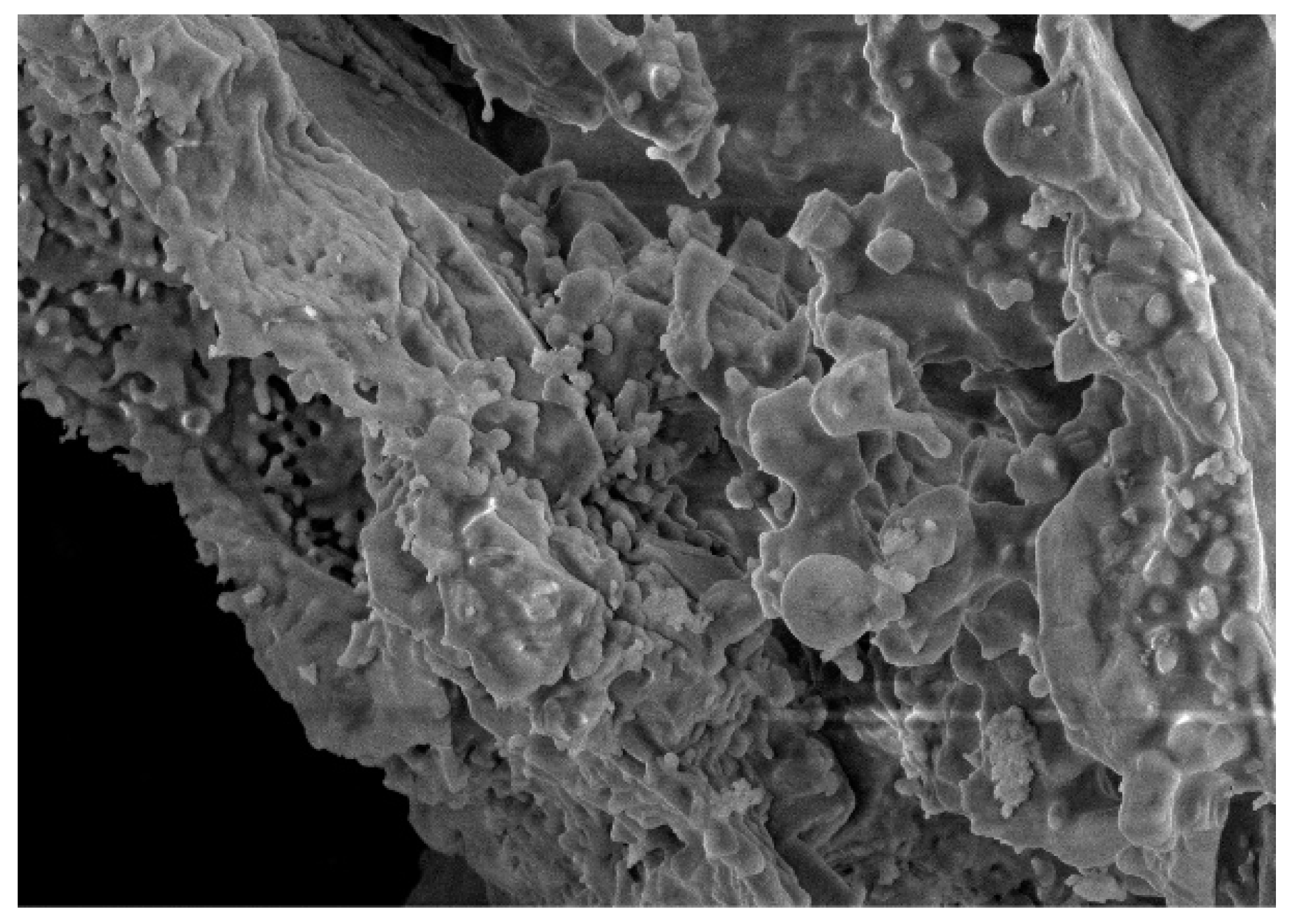 Materials 14 04146 g004 550