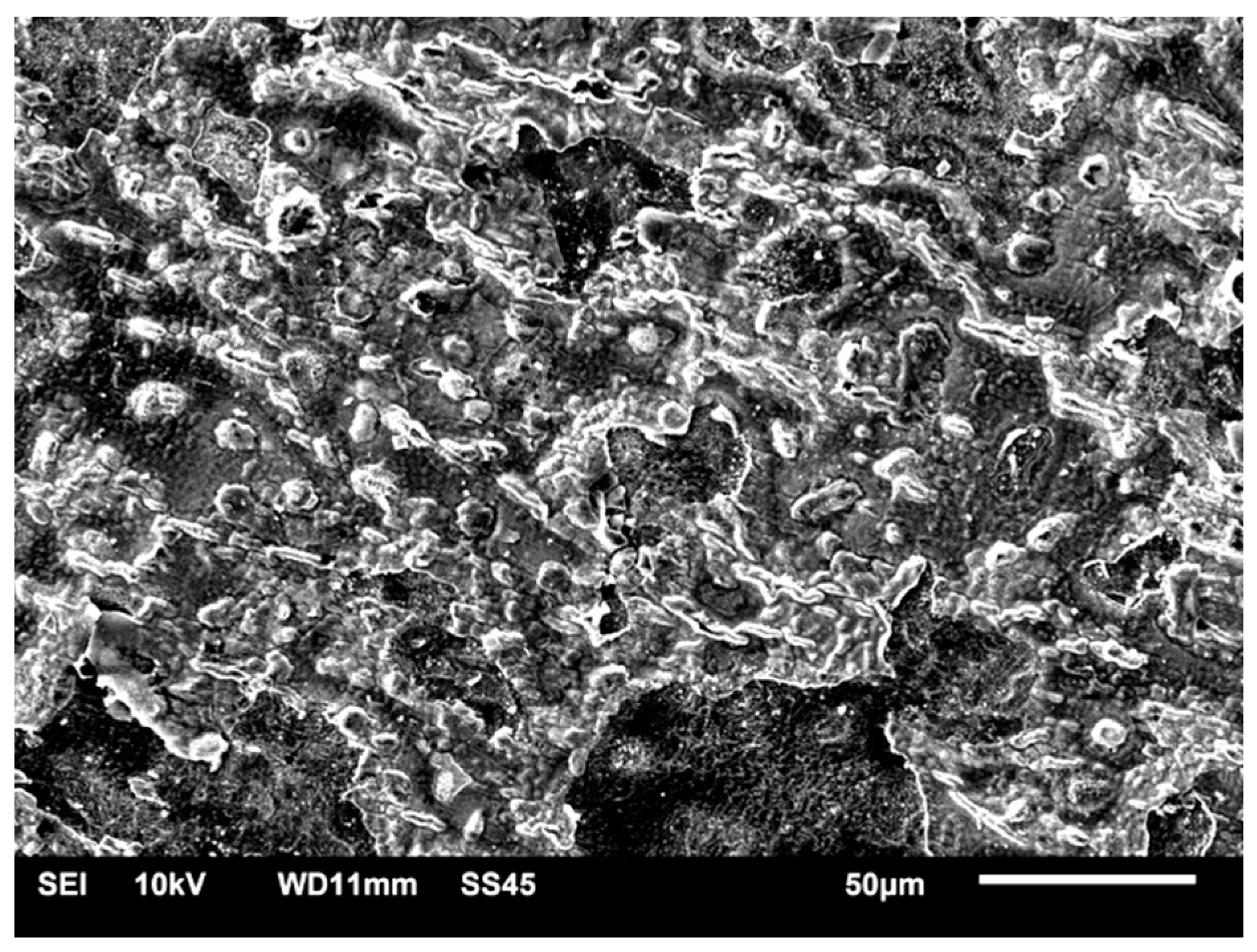 Materials 14 04147 g006