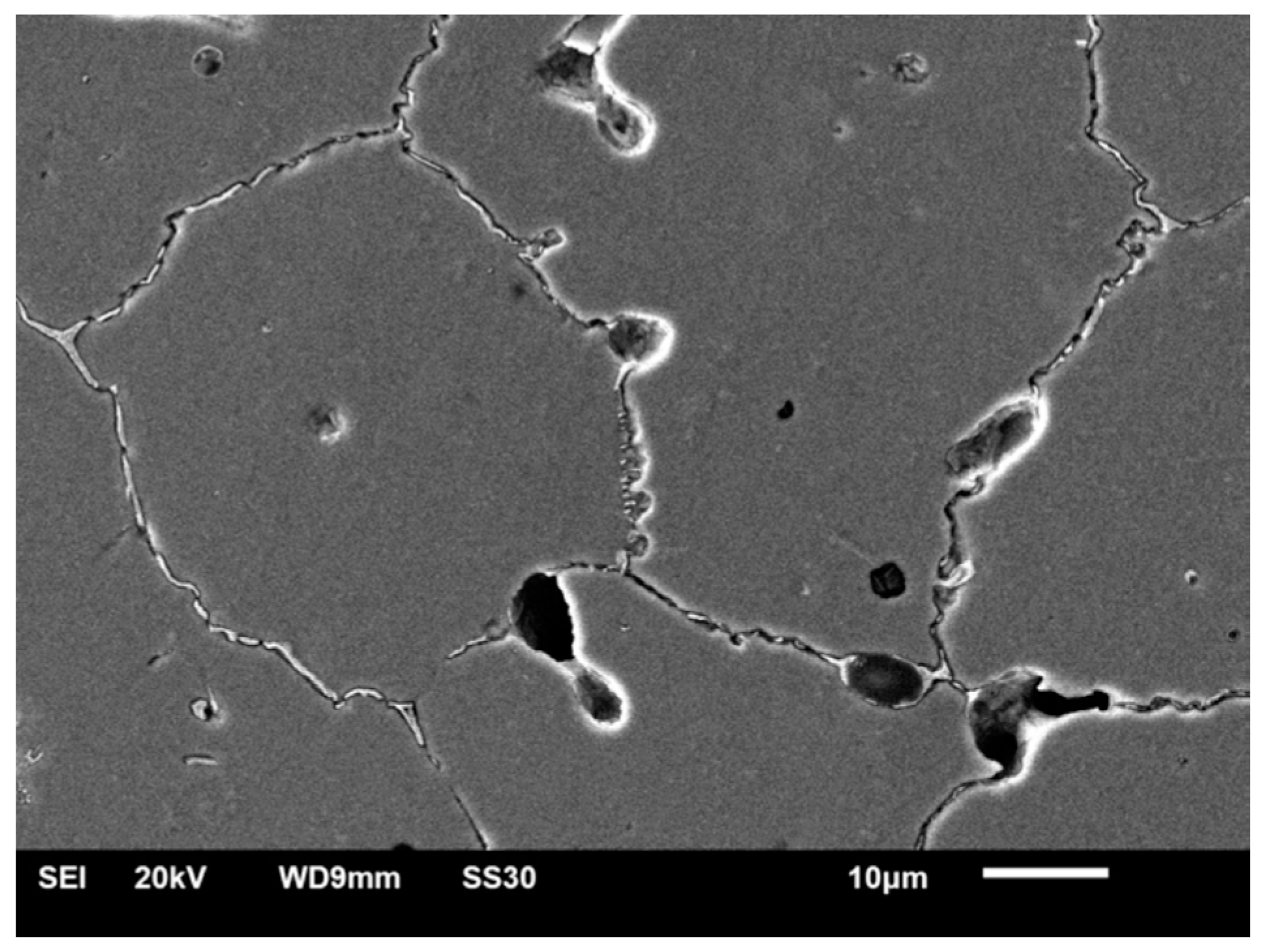 Materials 14 04147 g007