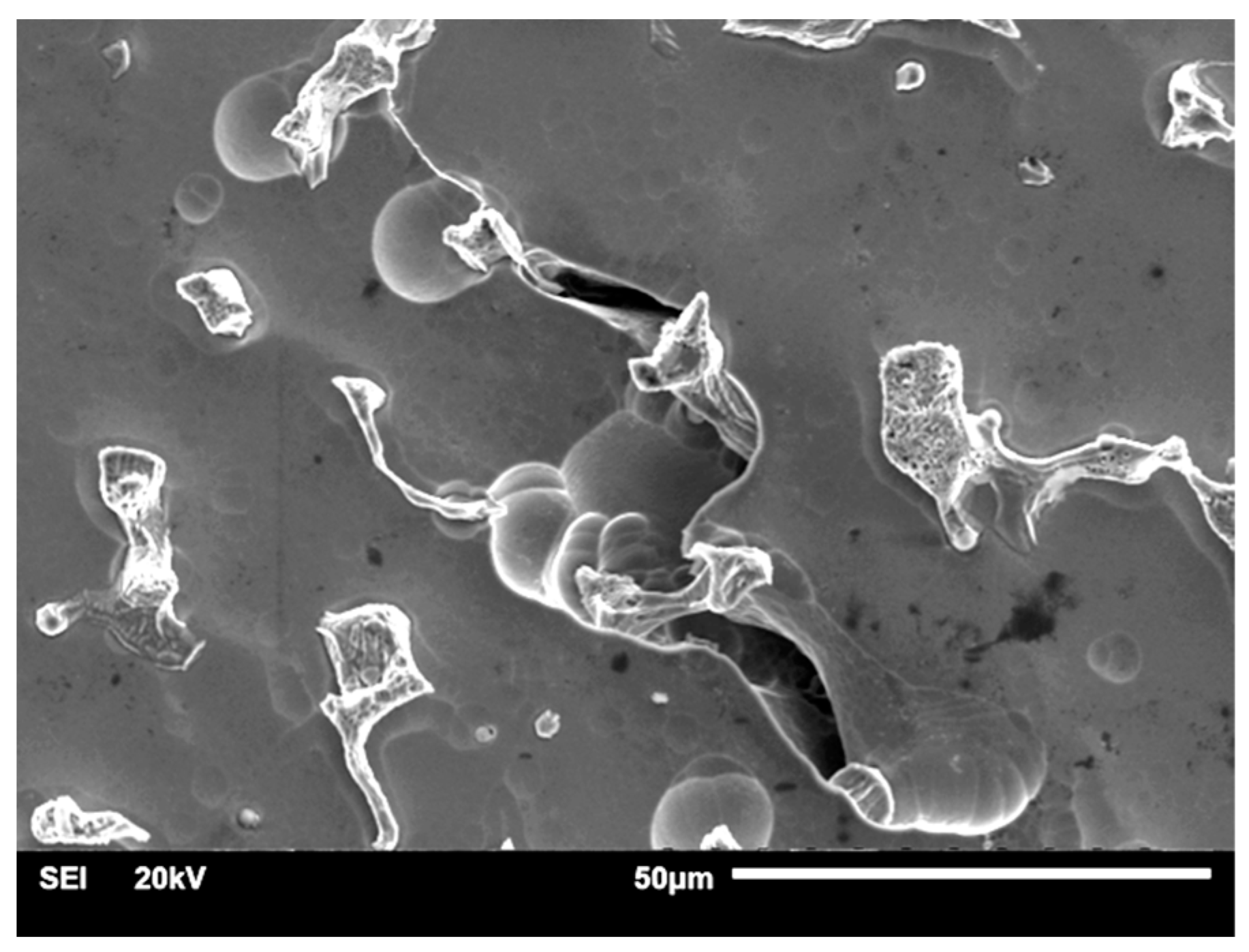 Materials 14 04147 g008