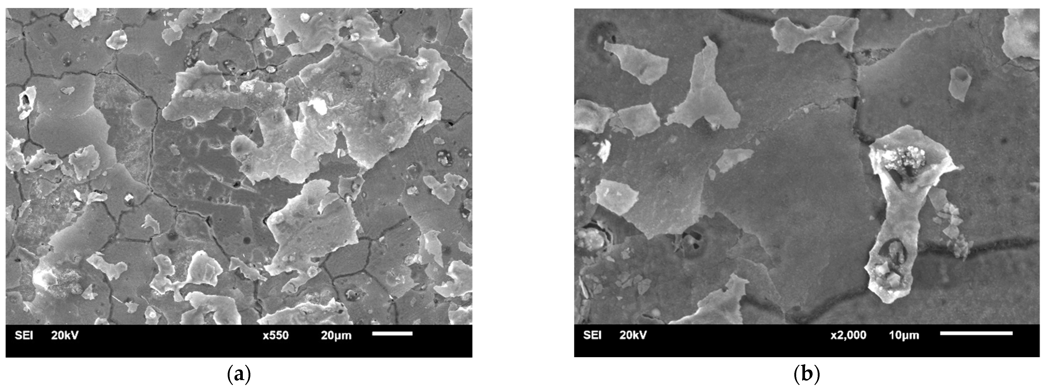 Materials 14 04147 g009