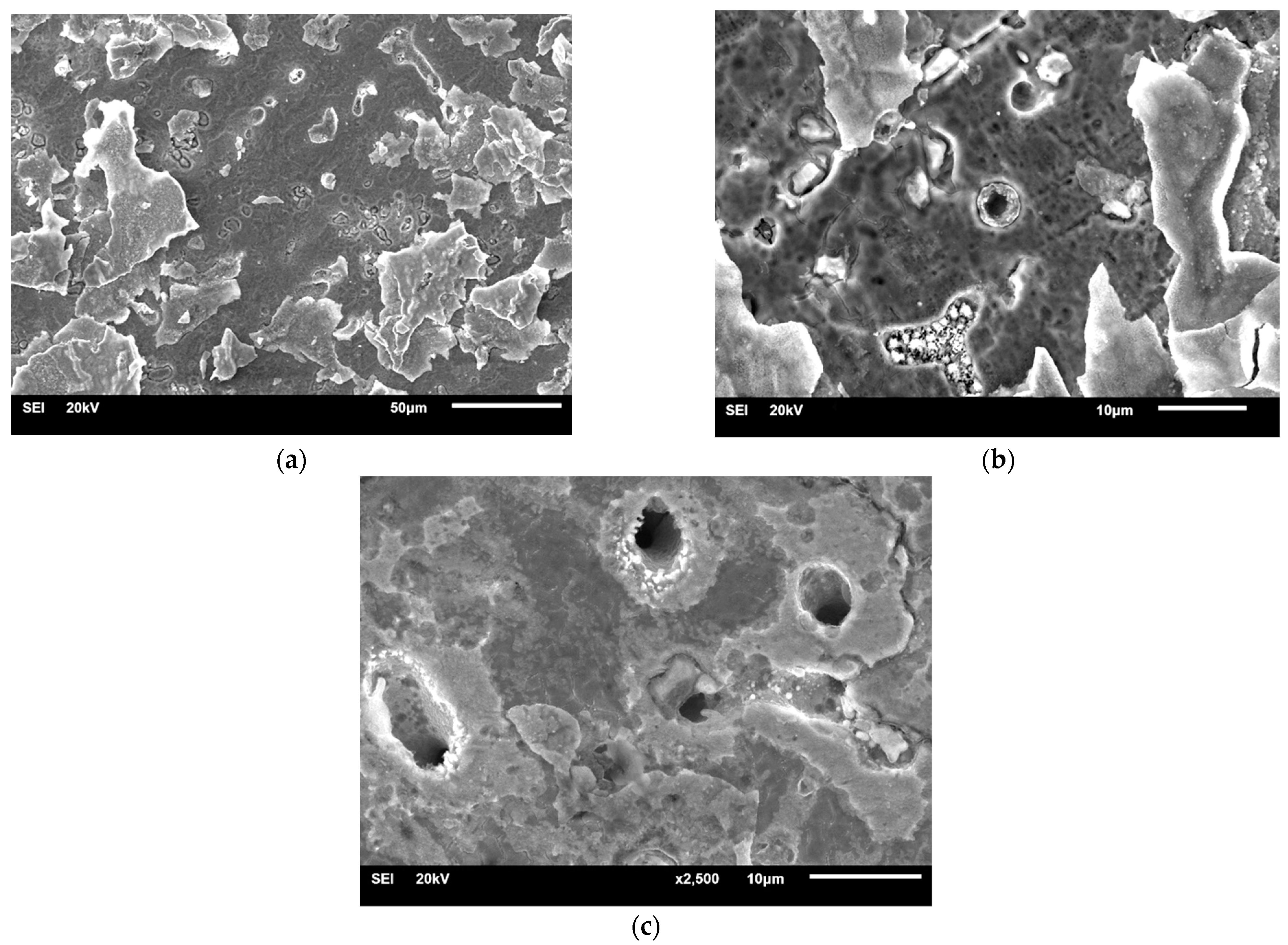 Materials 14 04147 g010