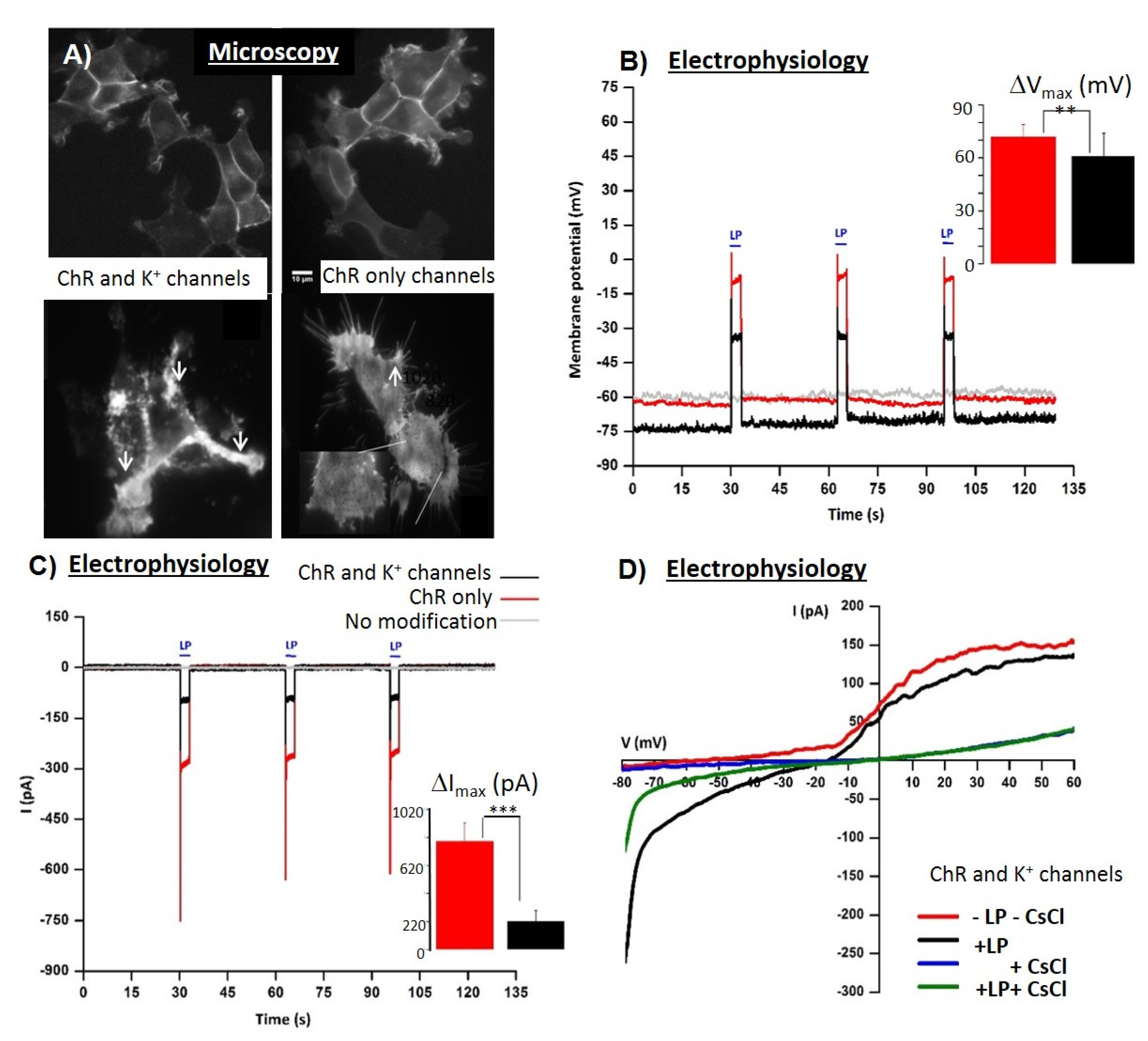 Materials 14 04151 g001 Materials 14 04151 g001