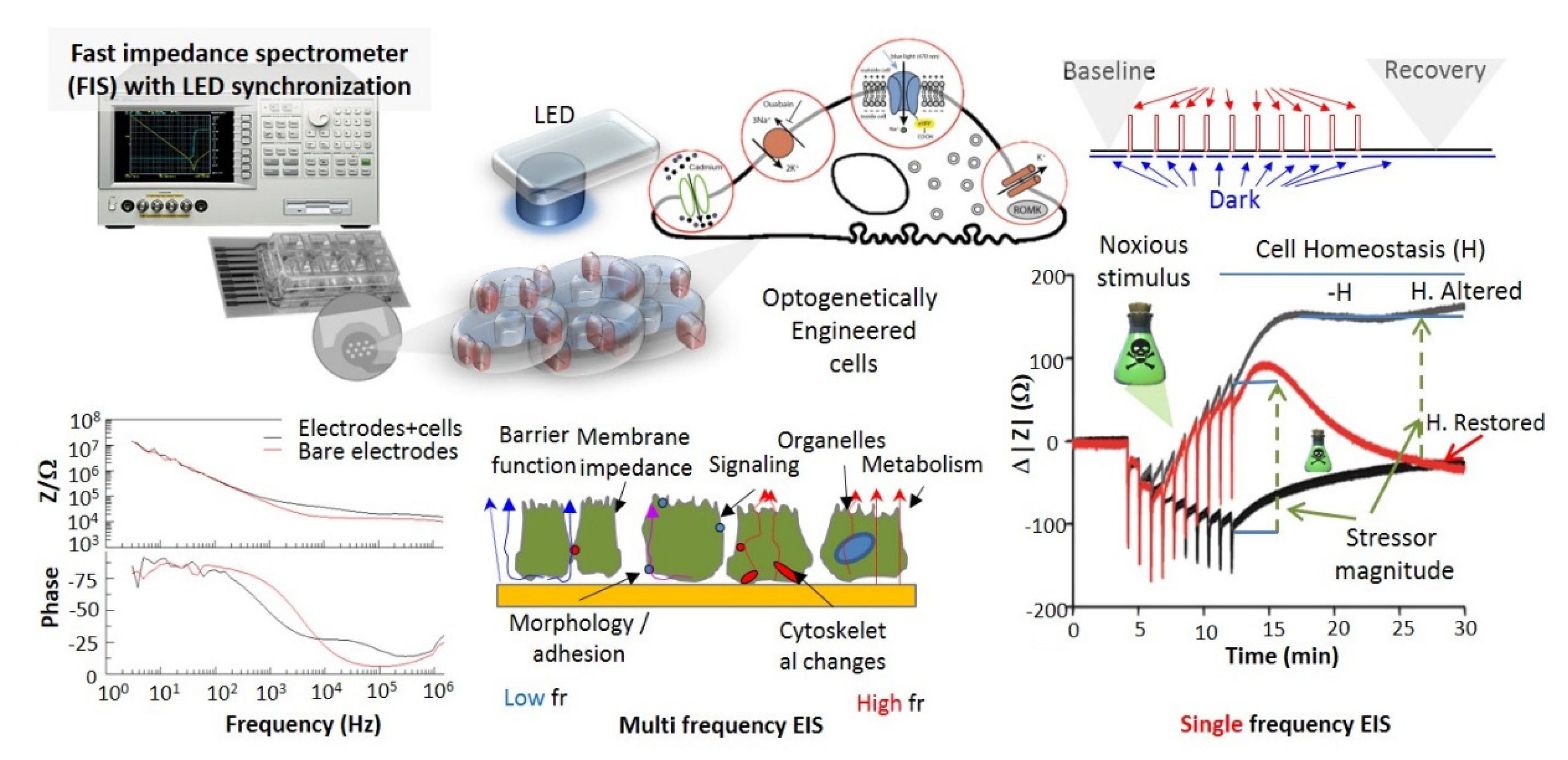 Materials 14 04151 g003 Materials 14 04151 g003