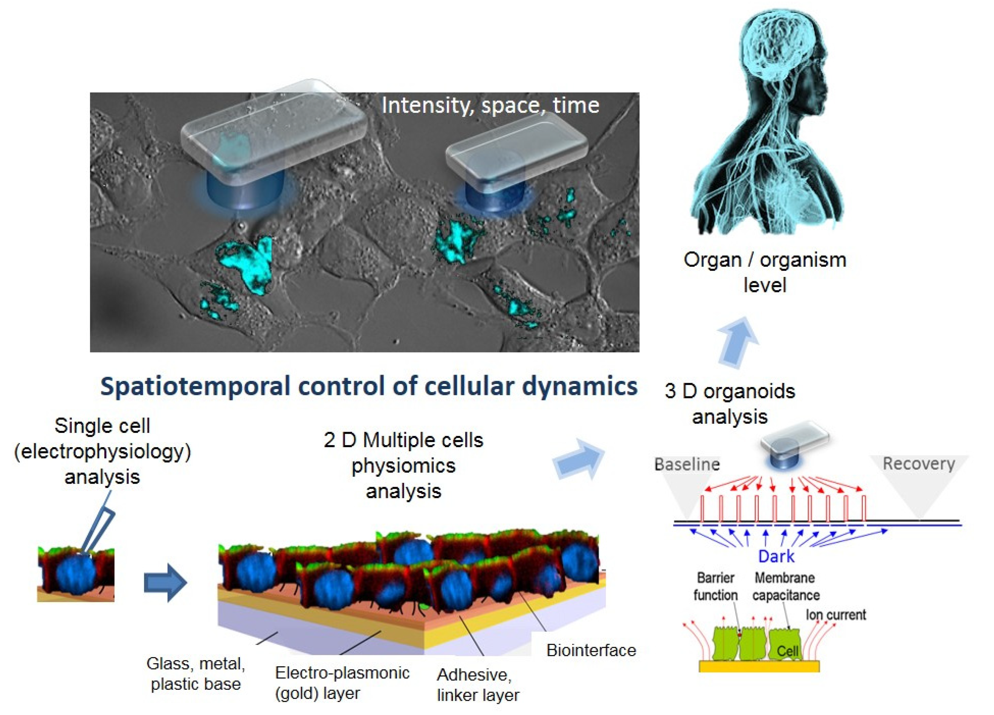 Materials 14 04151 sch001 Materials 14 04151 sch001