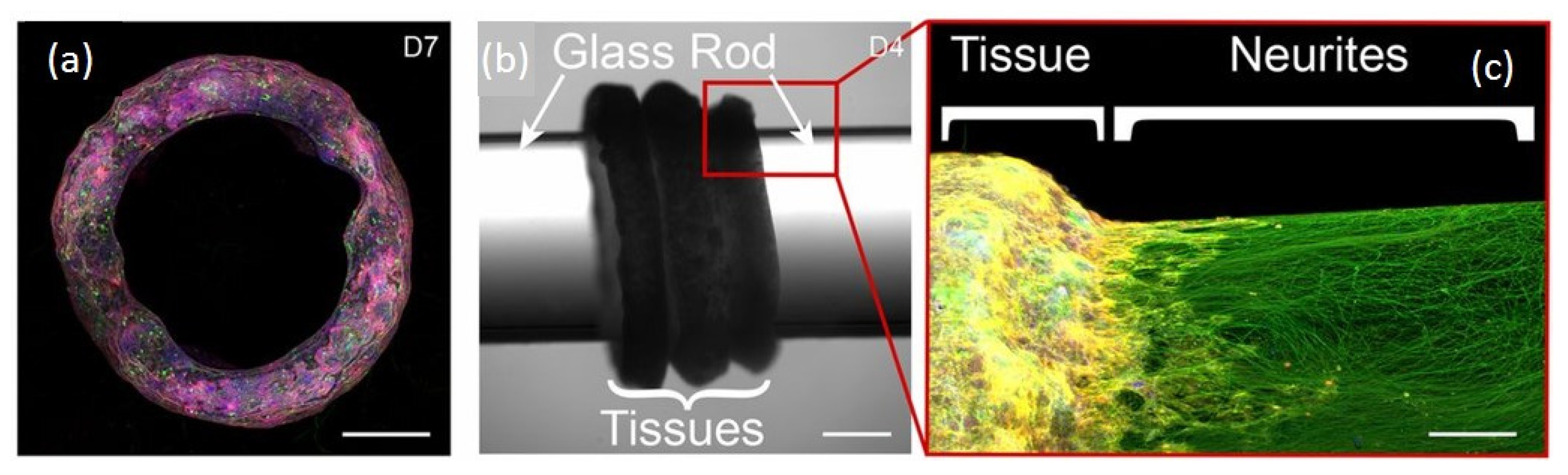 Materials 14 04151 sch003 Materials 14 04151 sch003
