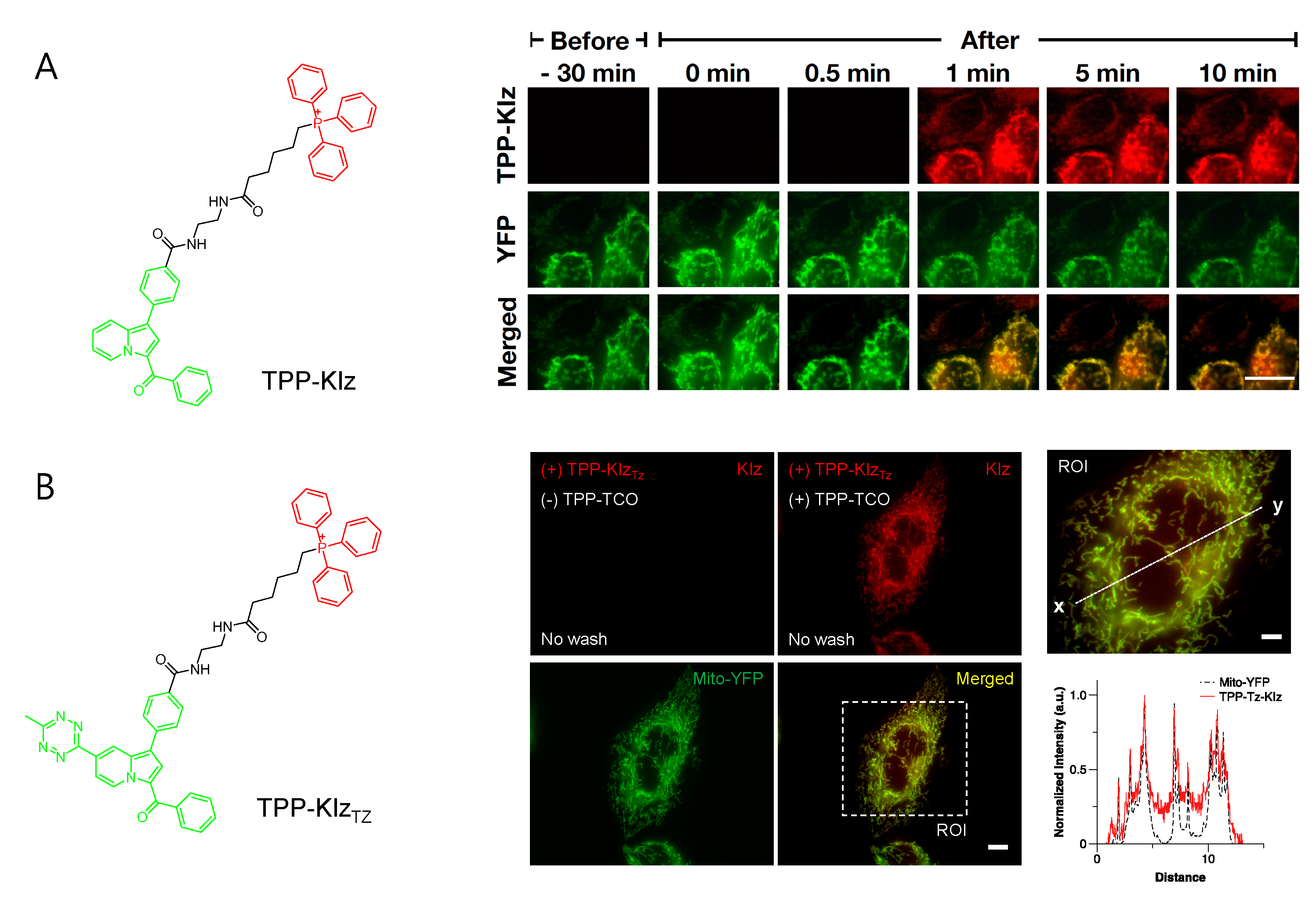 Materials 14 04180 g002
