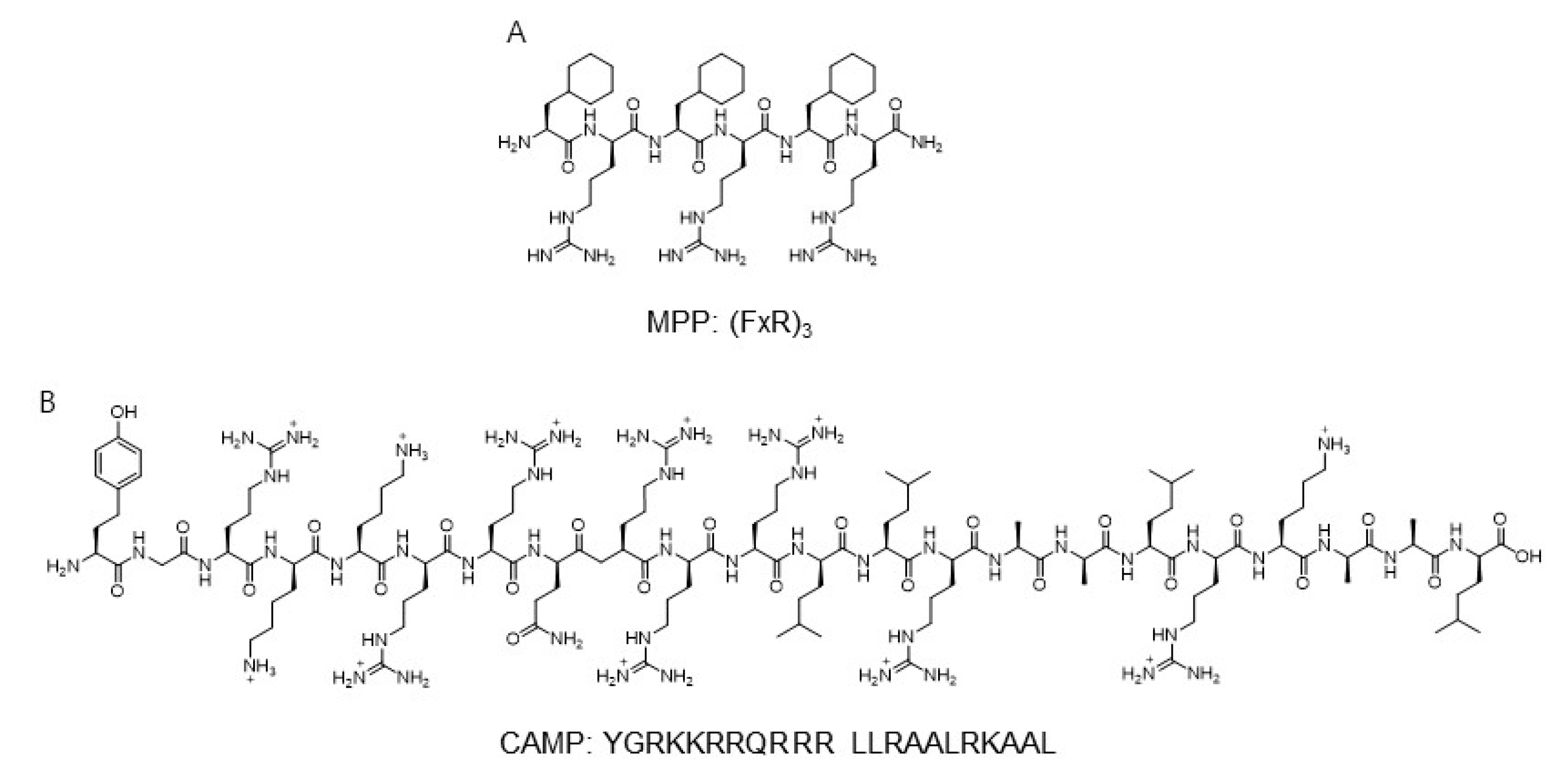 Materials 14 04180 g003