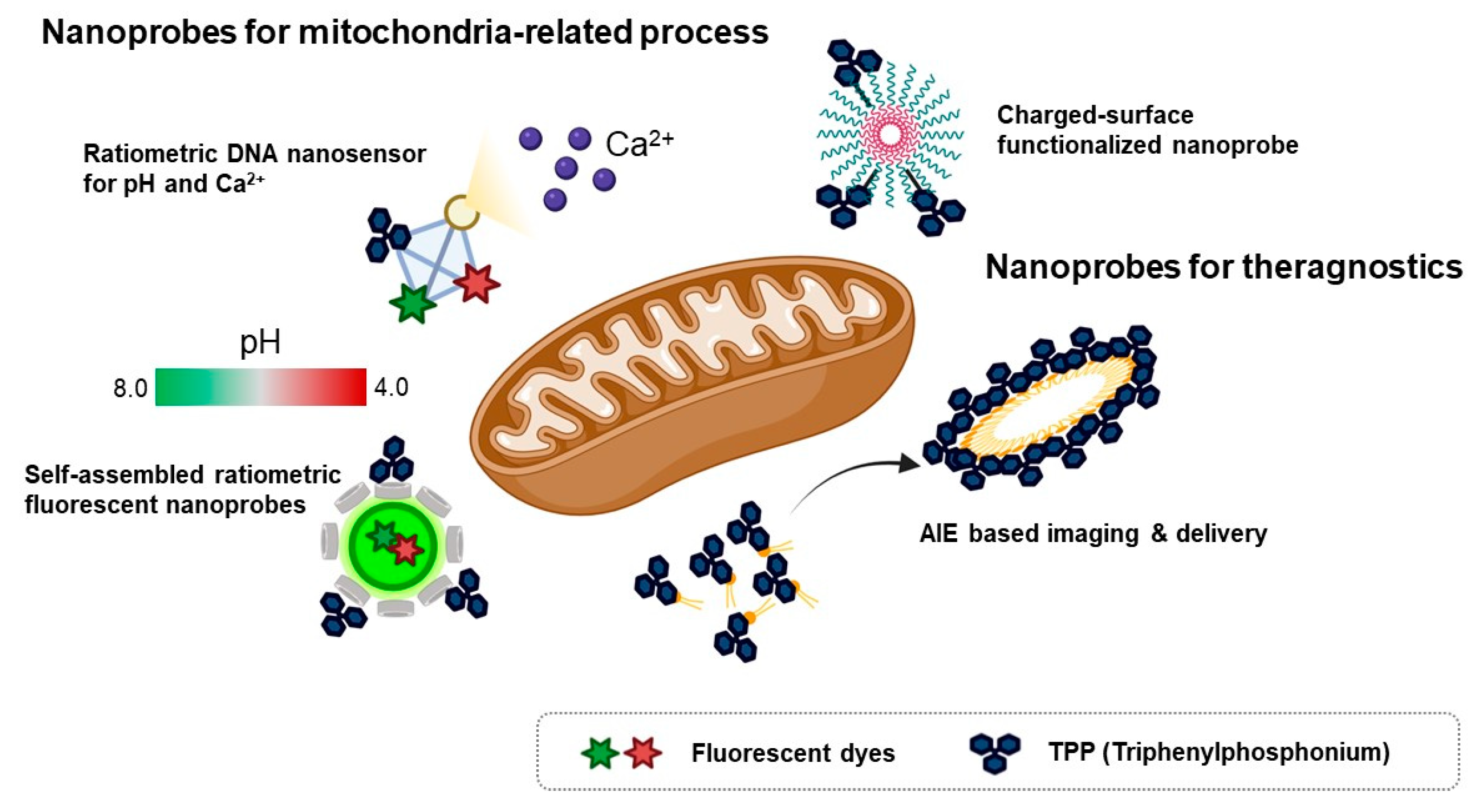 Materials 14 04180 g004