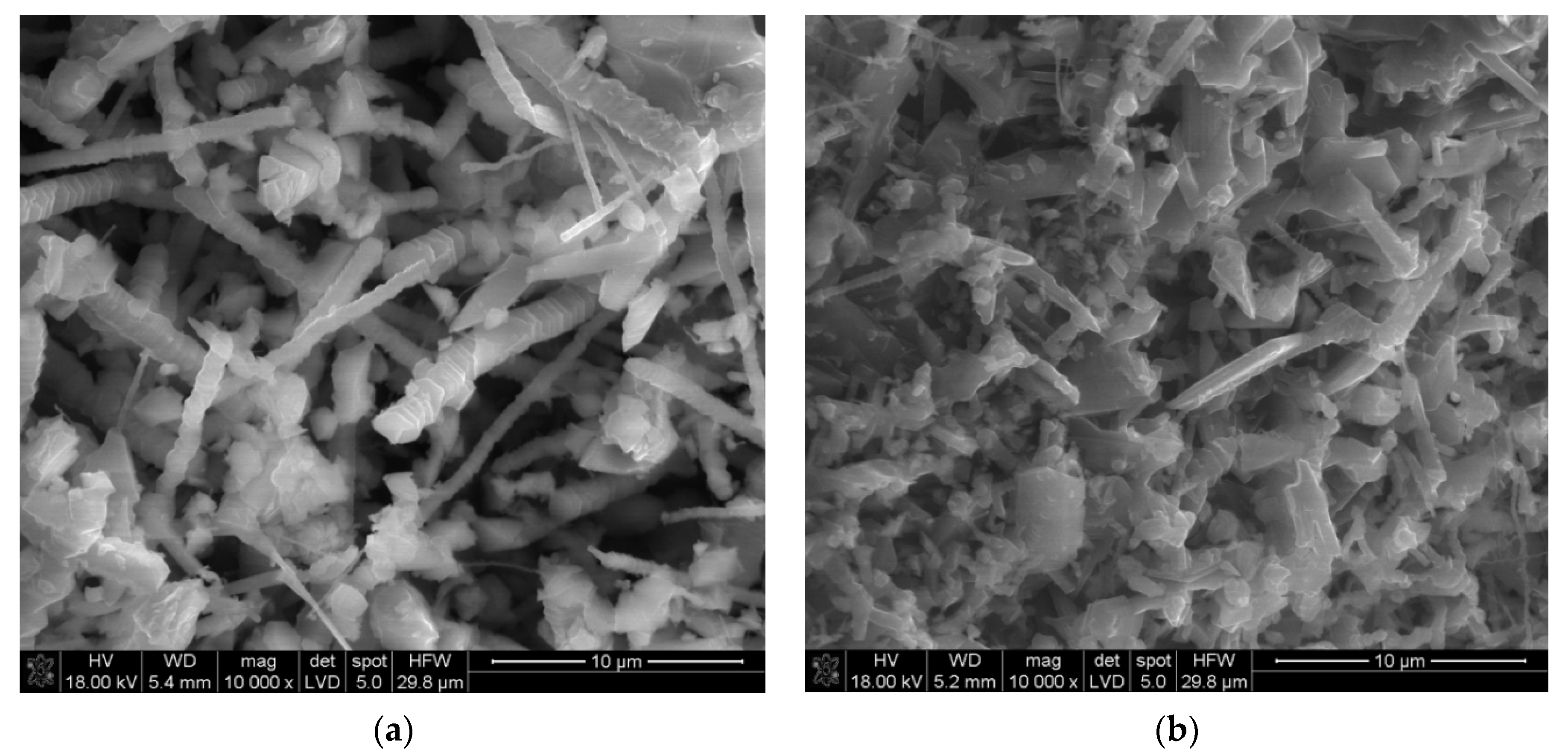 Materials 14 04182 g007 550