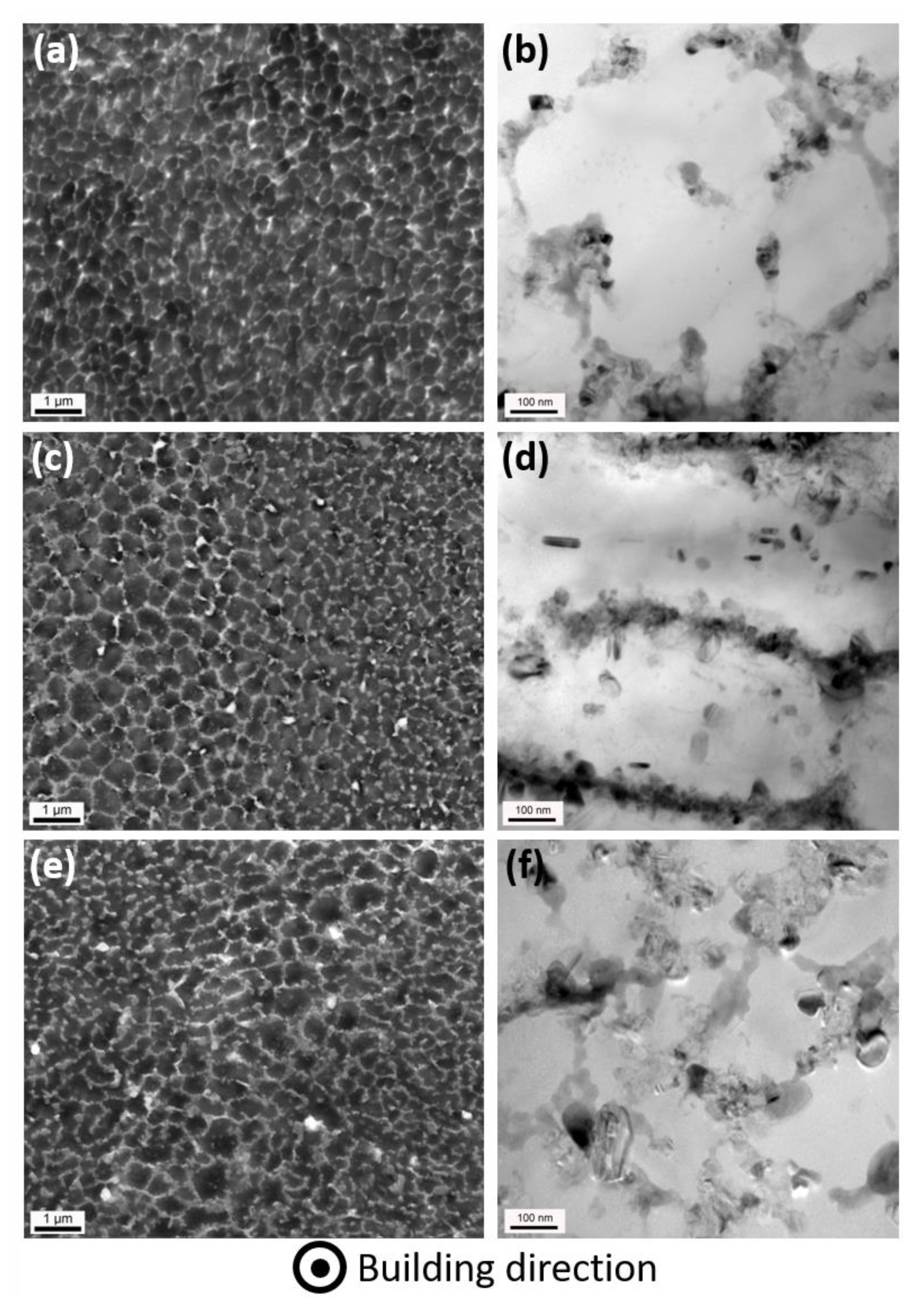 Materials 14 04184 g004 550