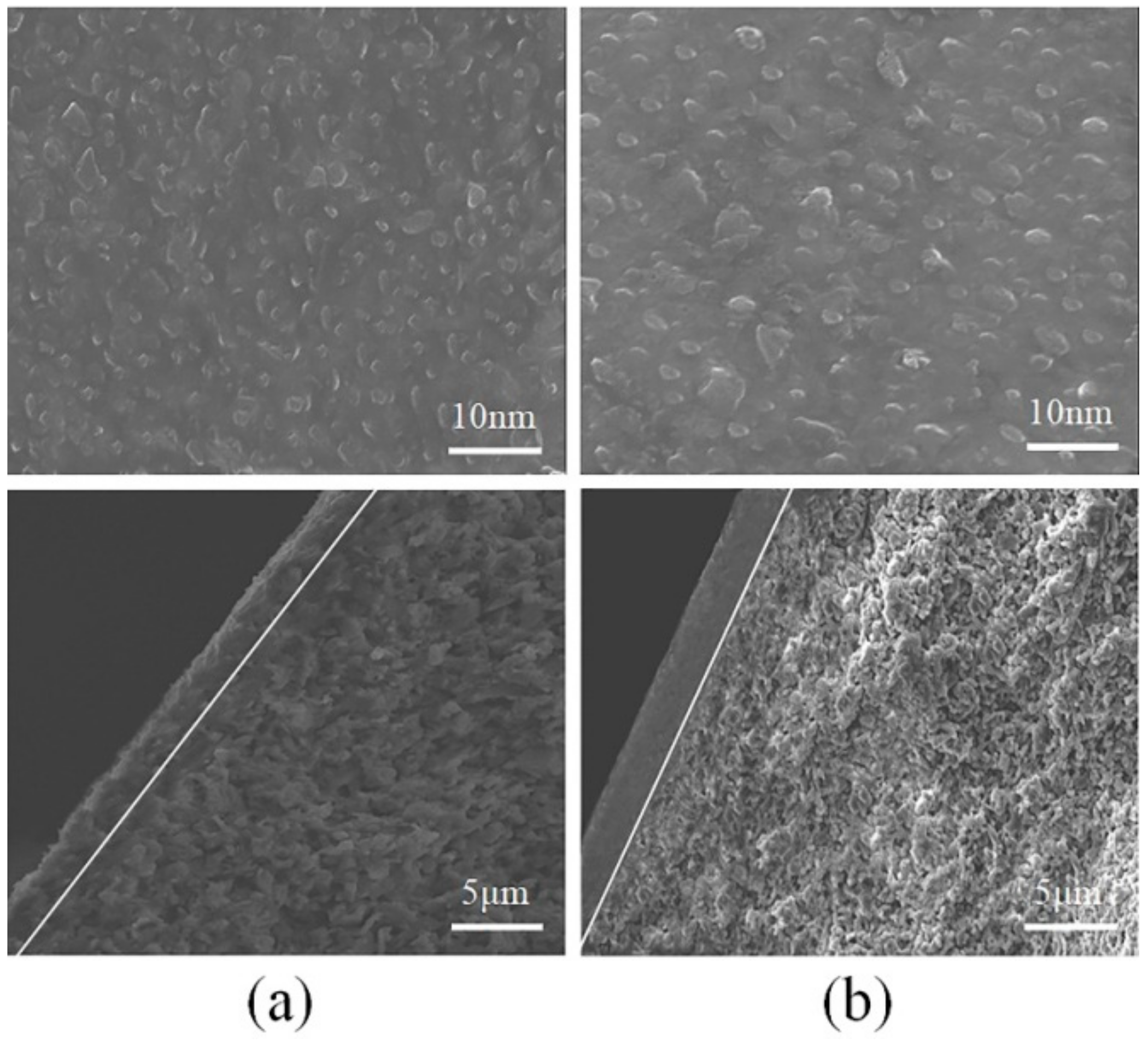 Materials 14 04188 g013