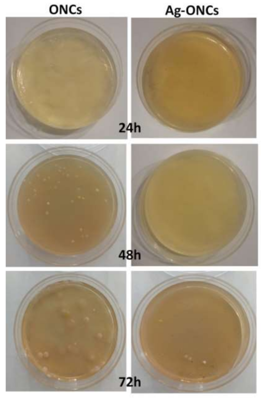 Materials 14 04198 g004