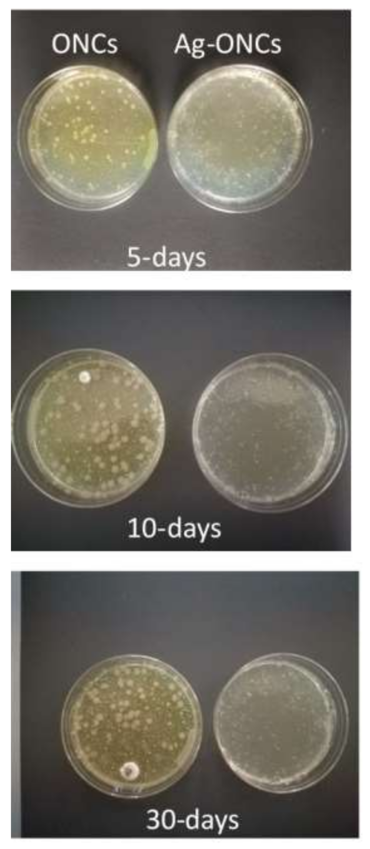 Materials 14 04198 g005